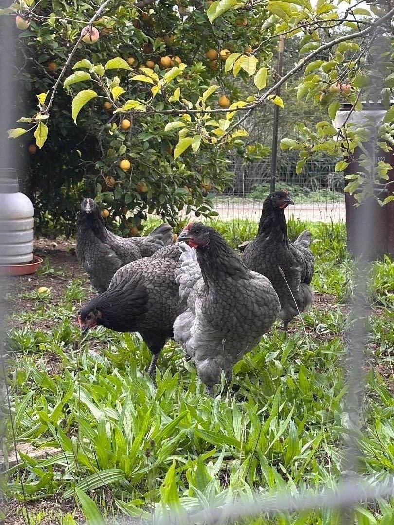 46 Valley View Drive