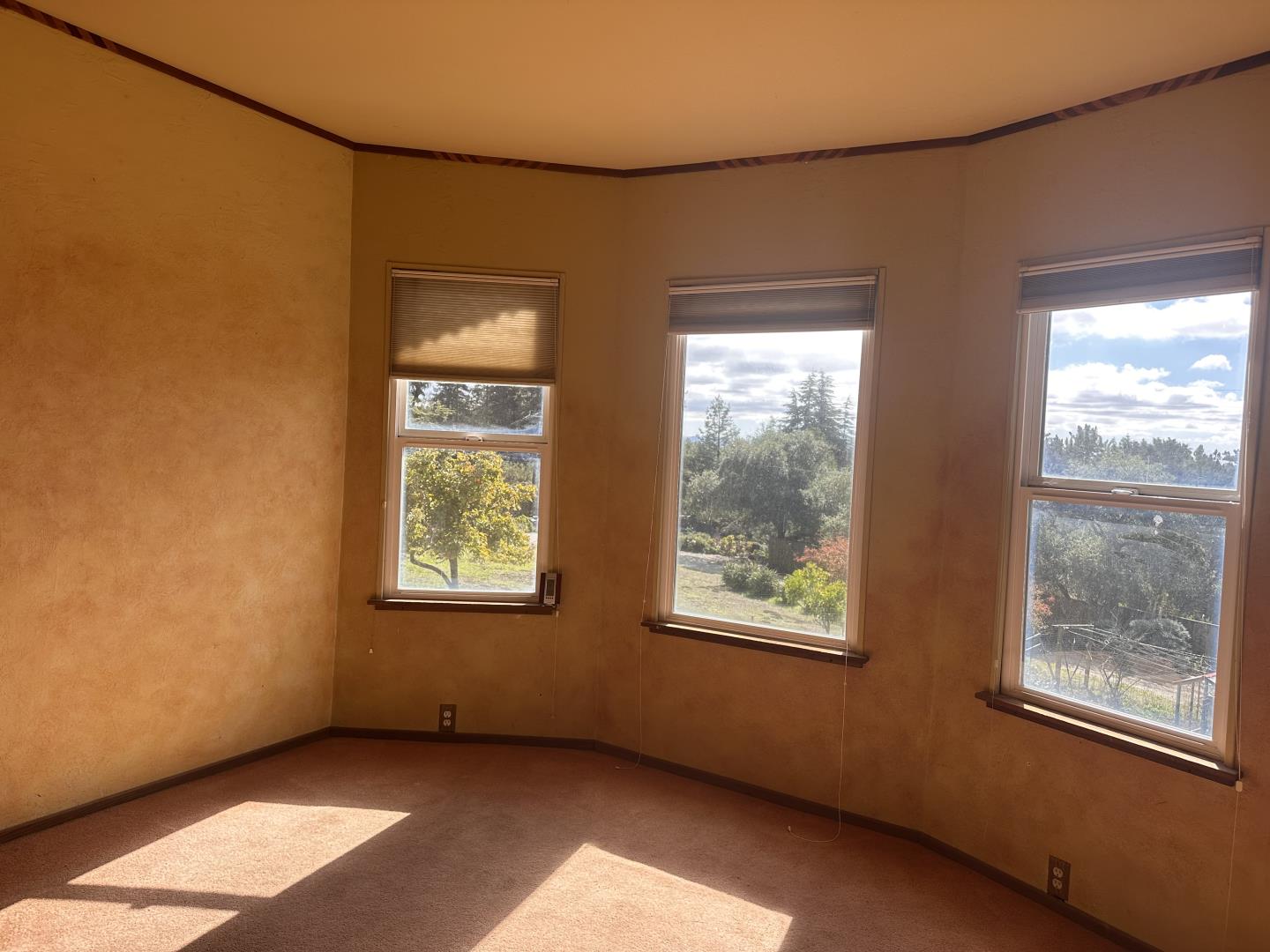 46 Valley View Road