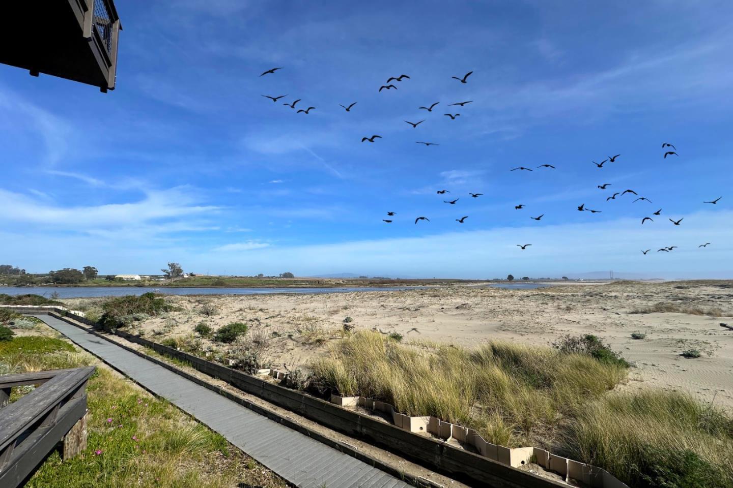 53 Pelican Point