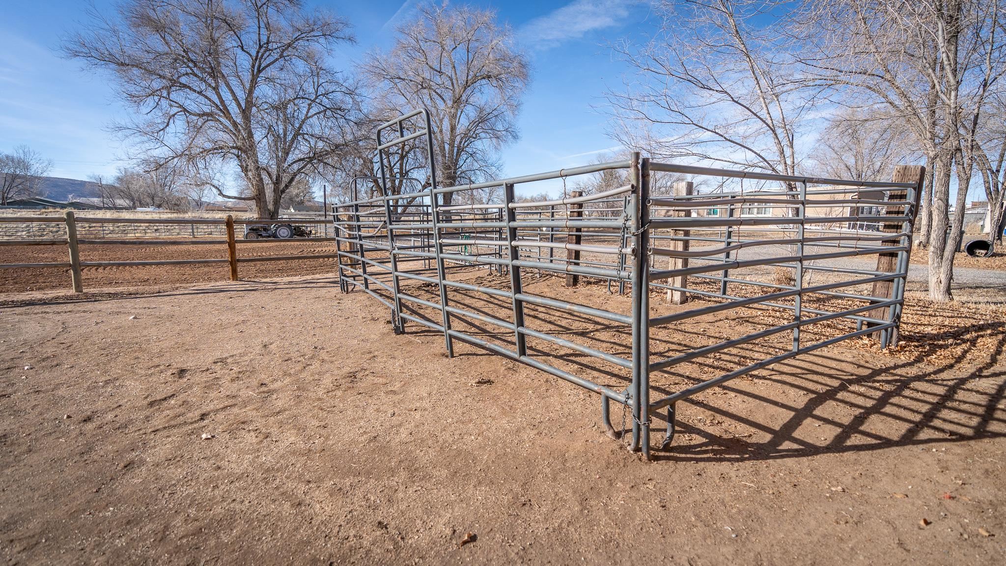 1309 Cleveland Street