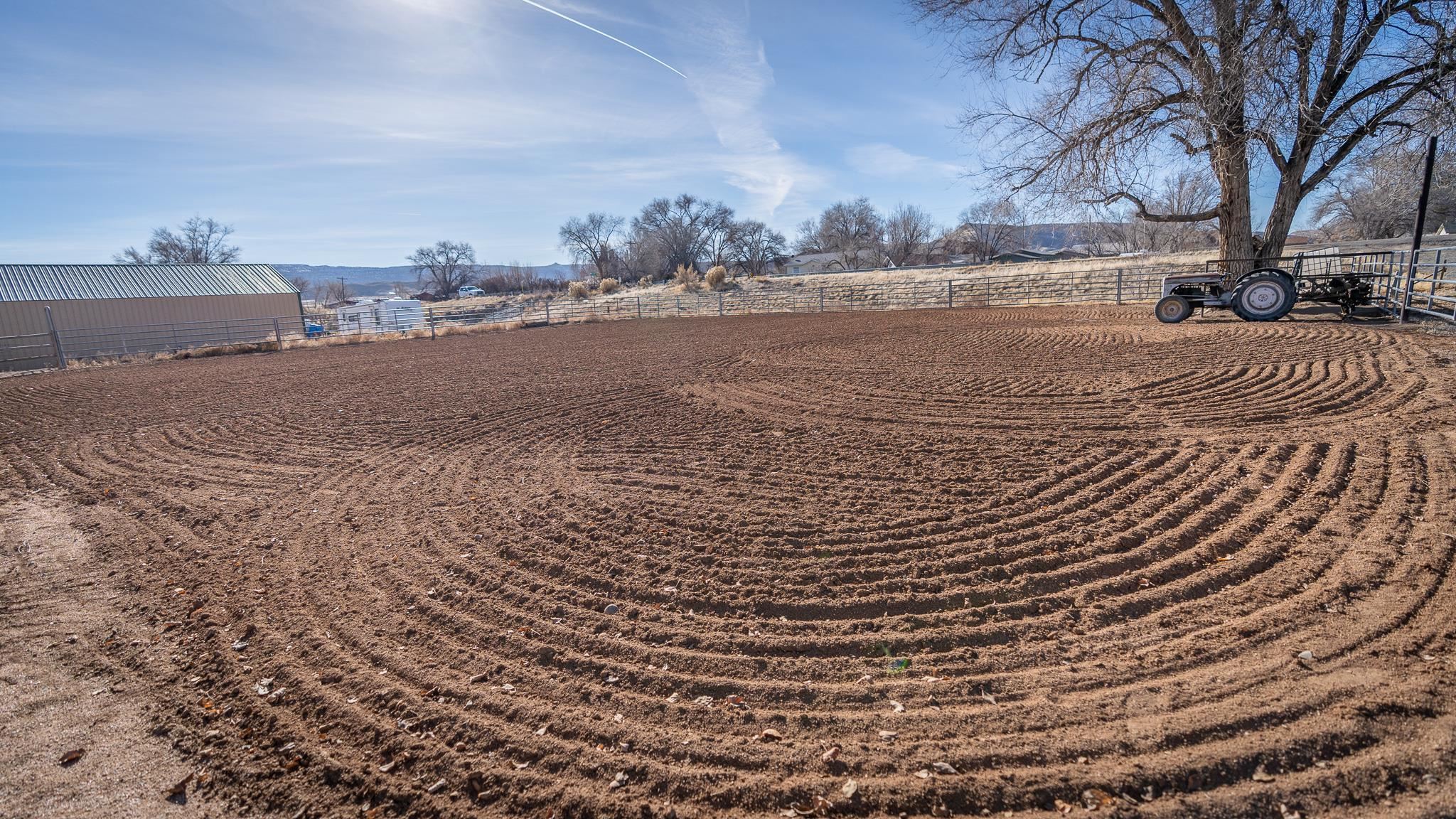 1309 Cleveland Street