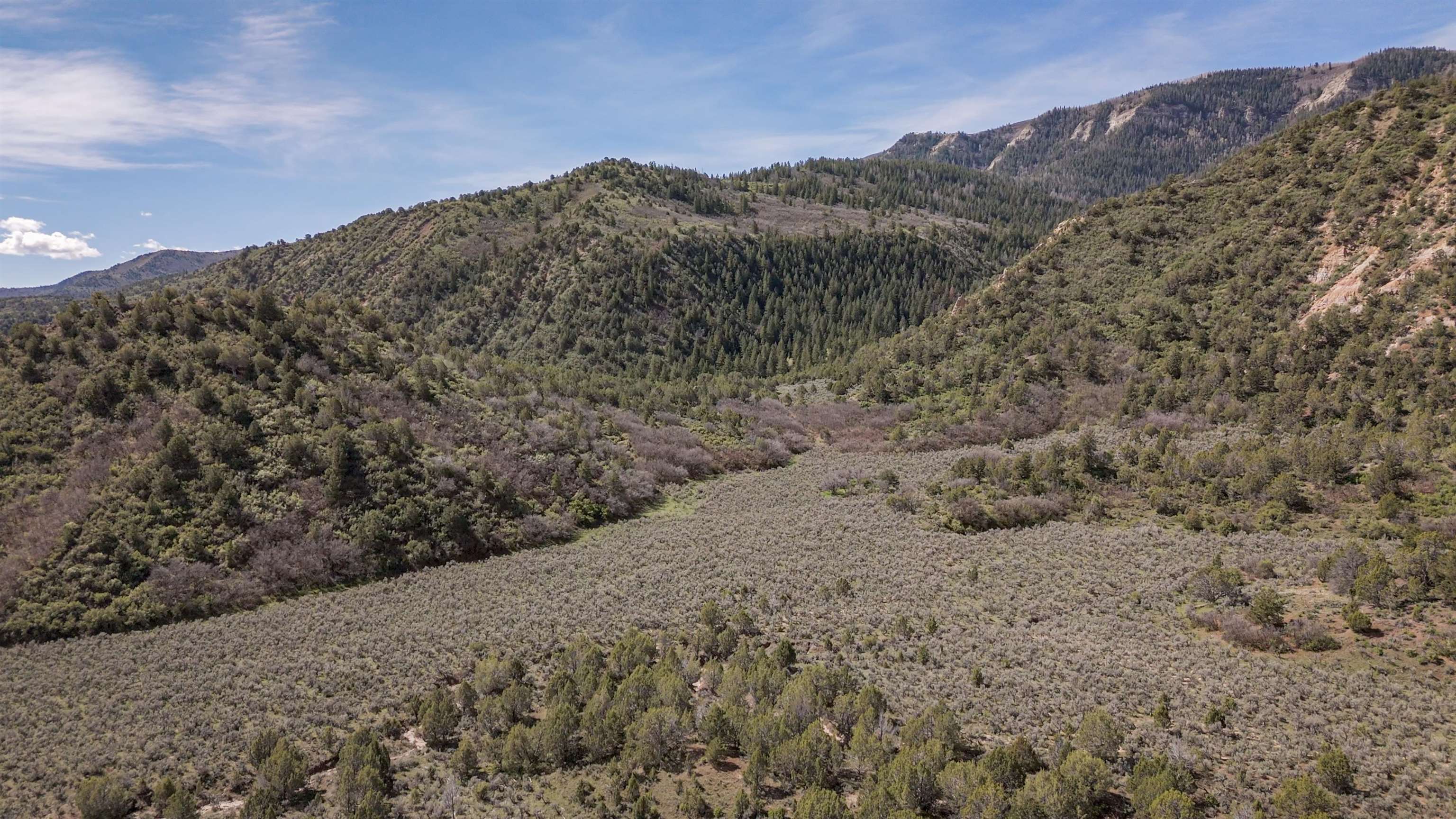 11799 Highway 13