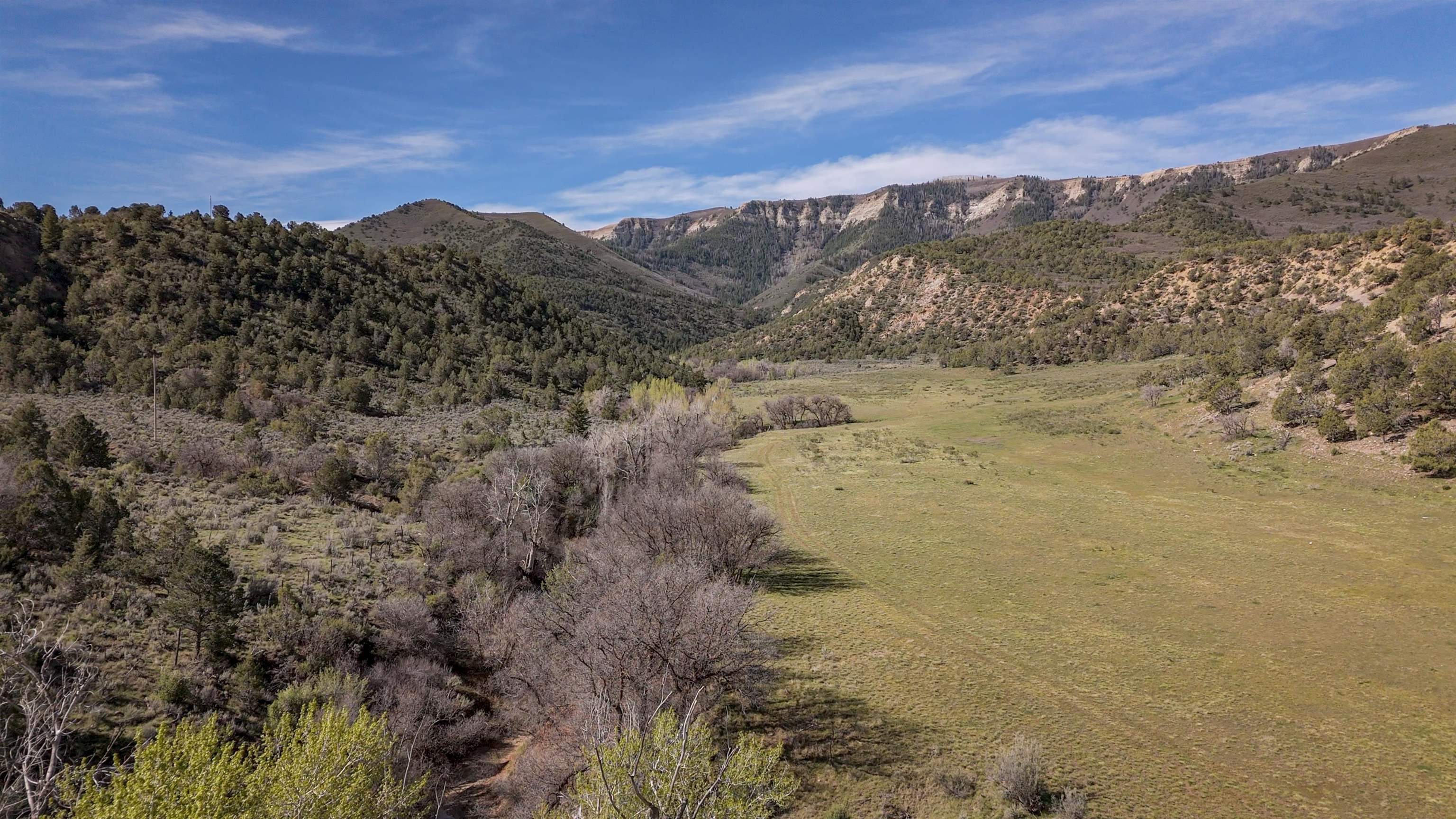 11799 Highway 13