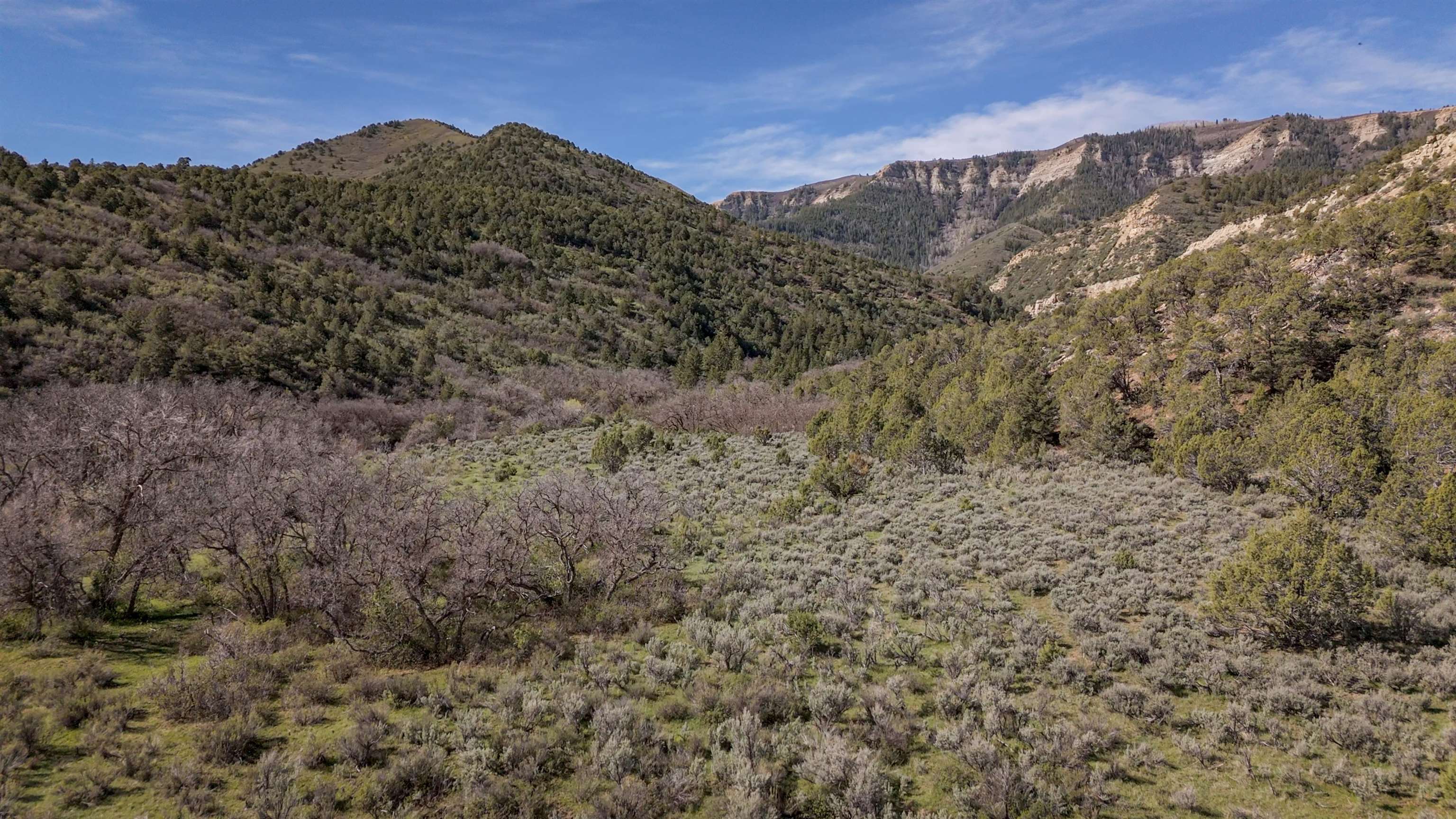 11799 Highway 13