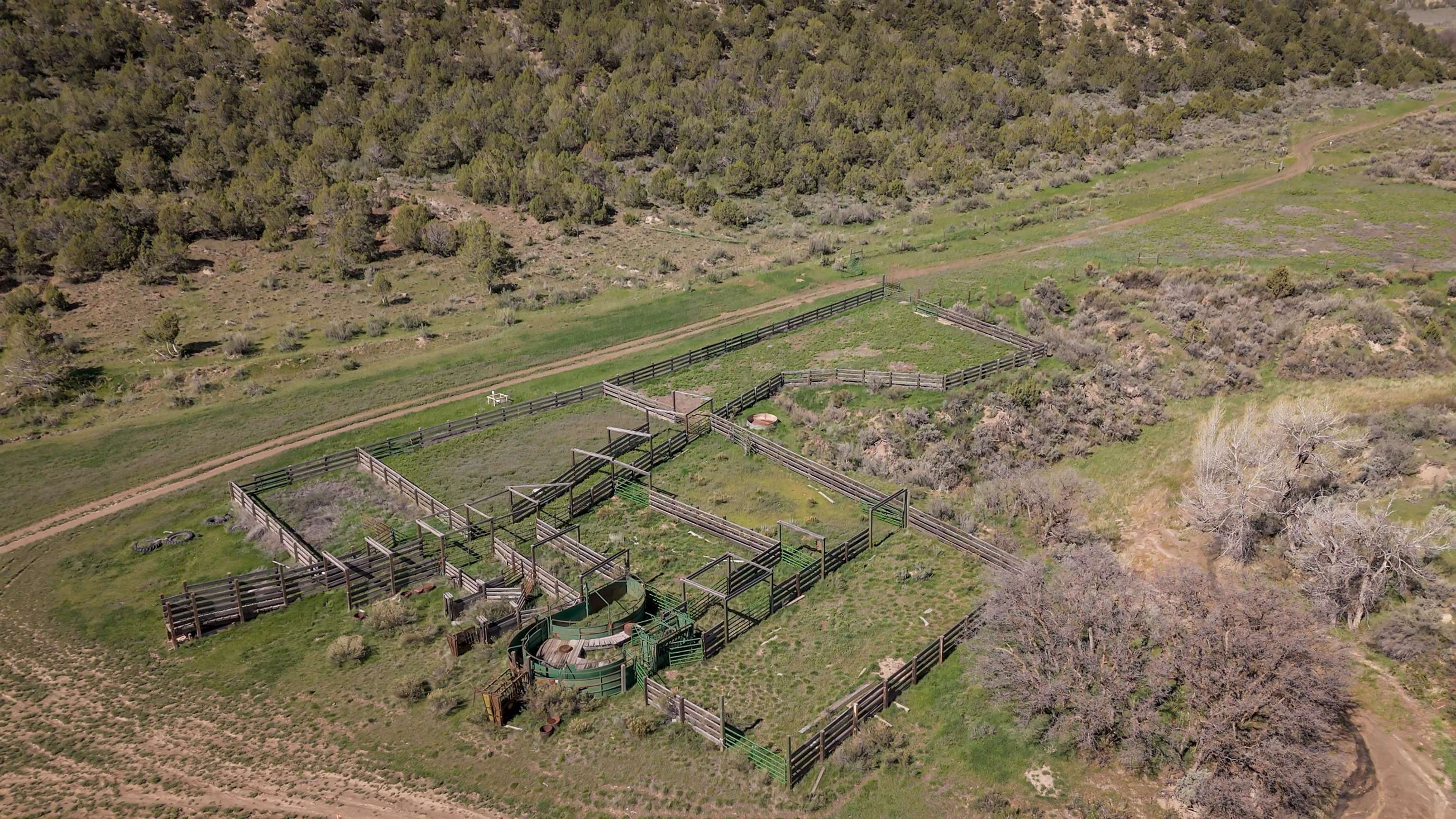 11799 Highway 13