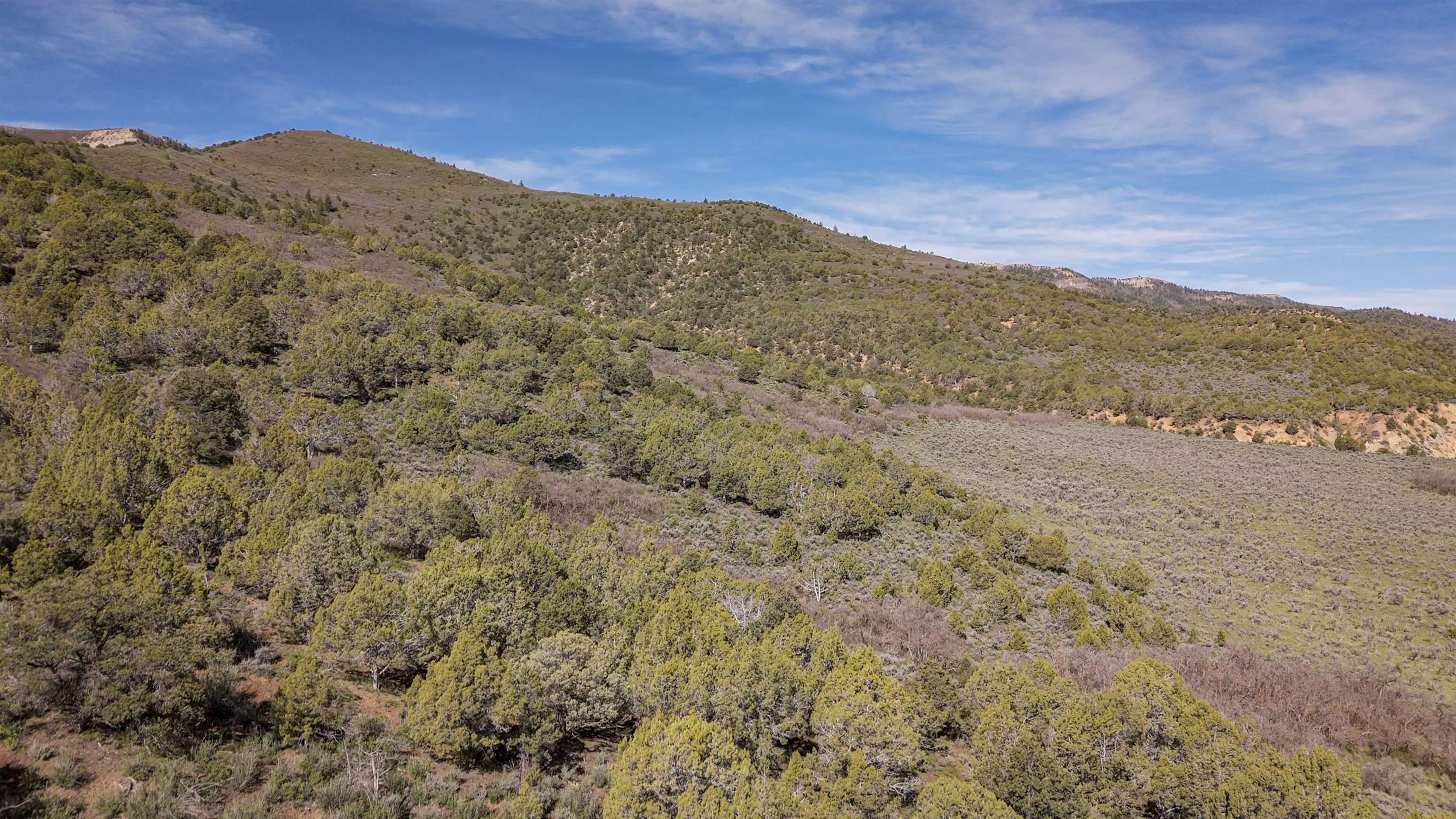 11799 Highway 13