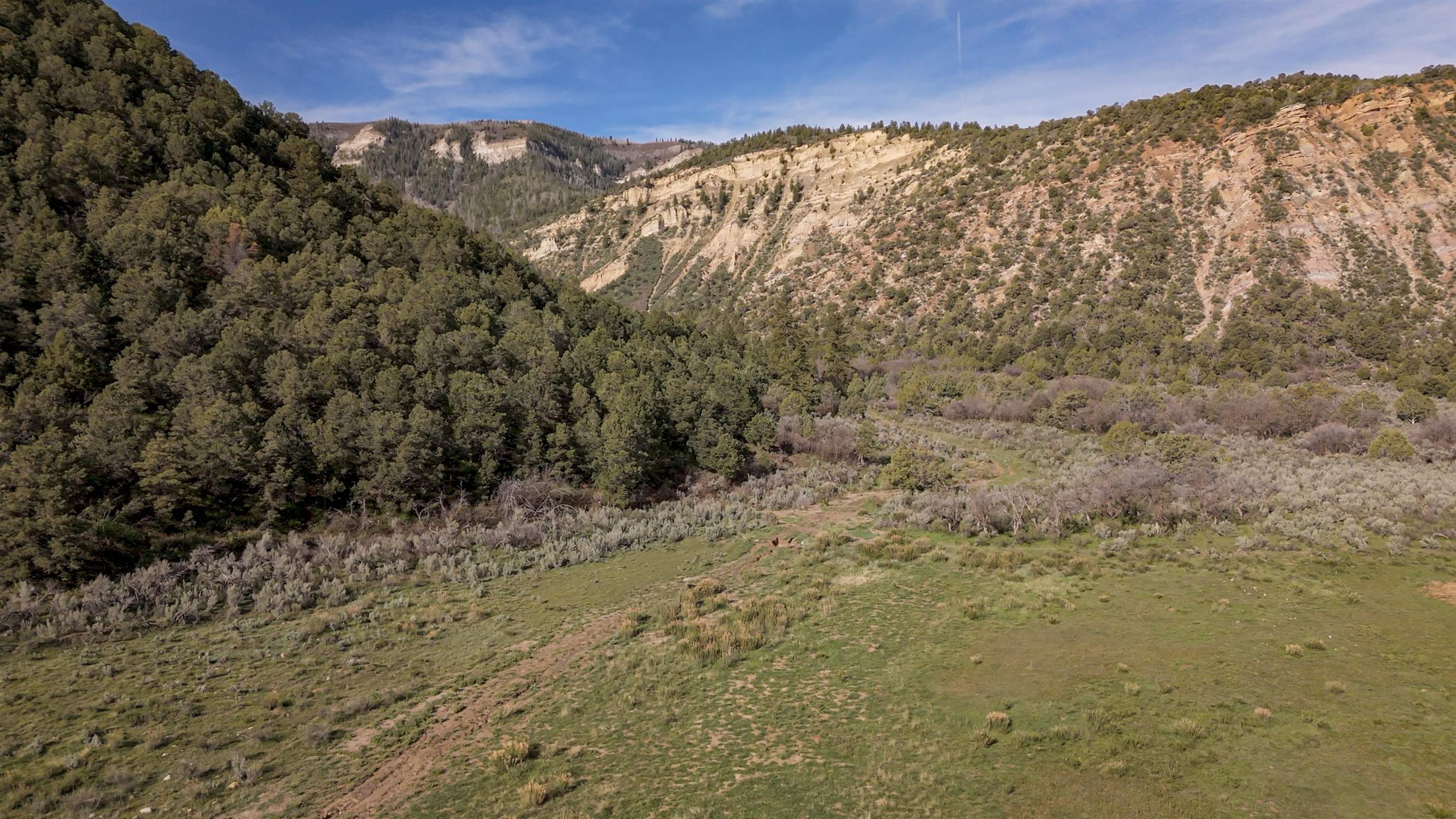 11799 Highway 13