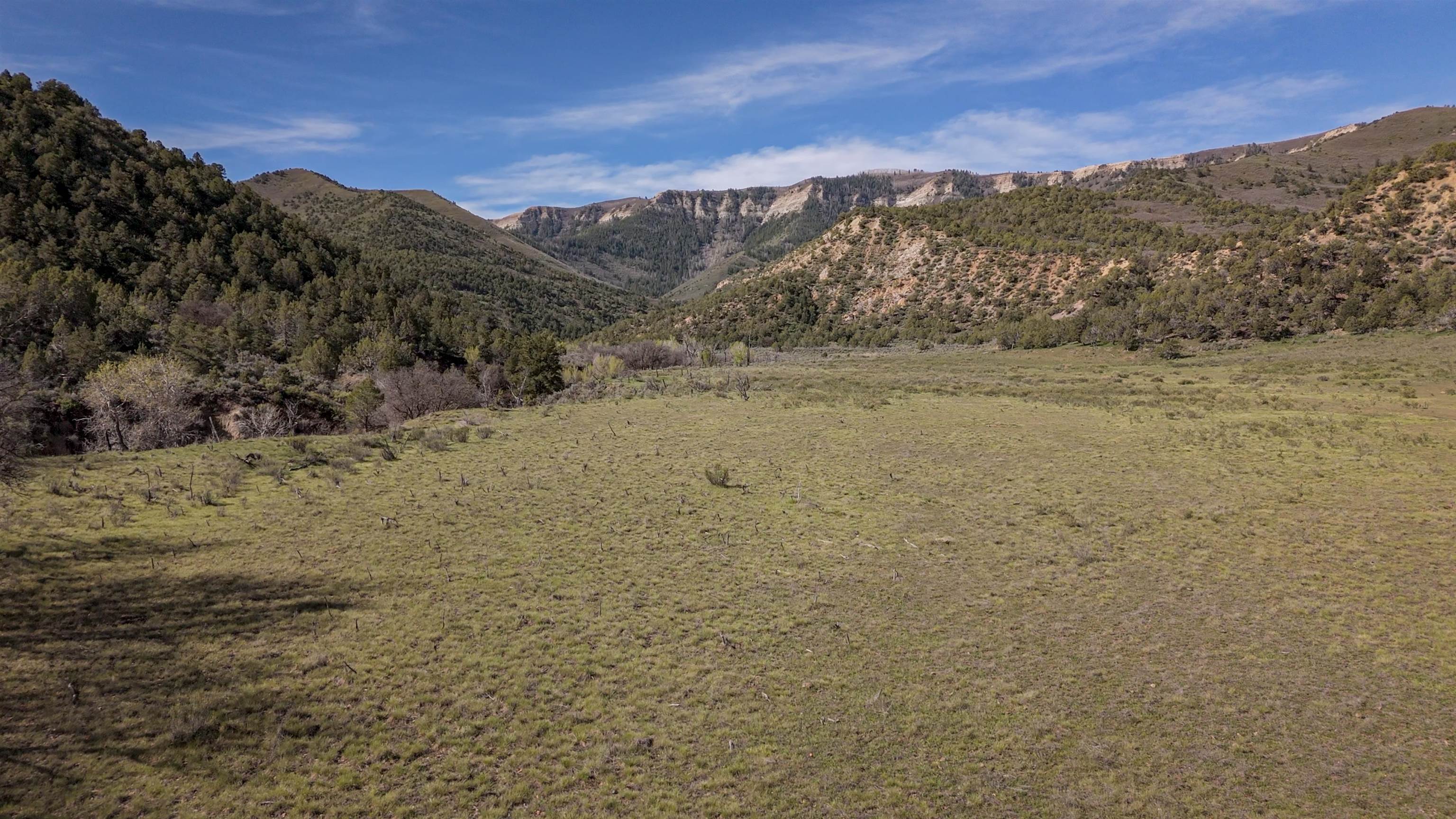 11799 Highway 13