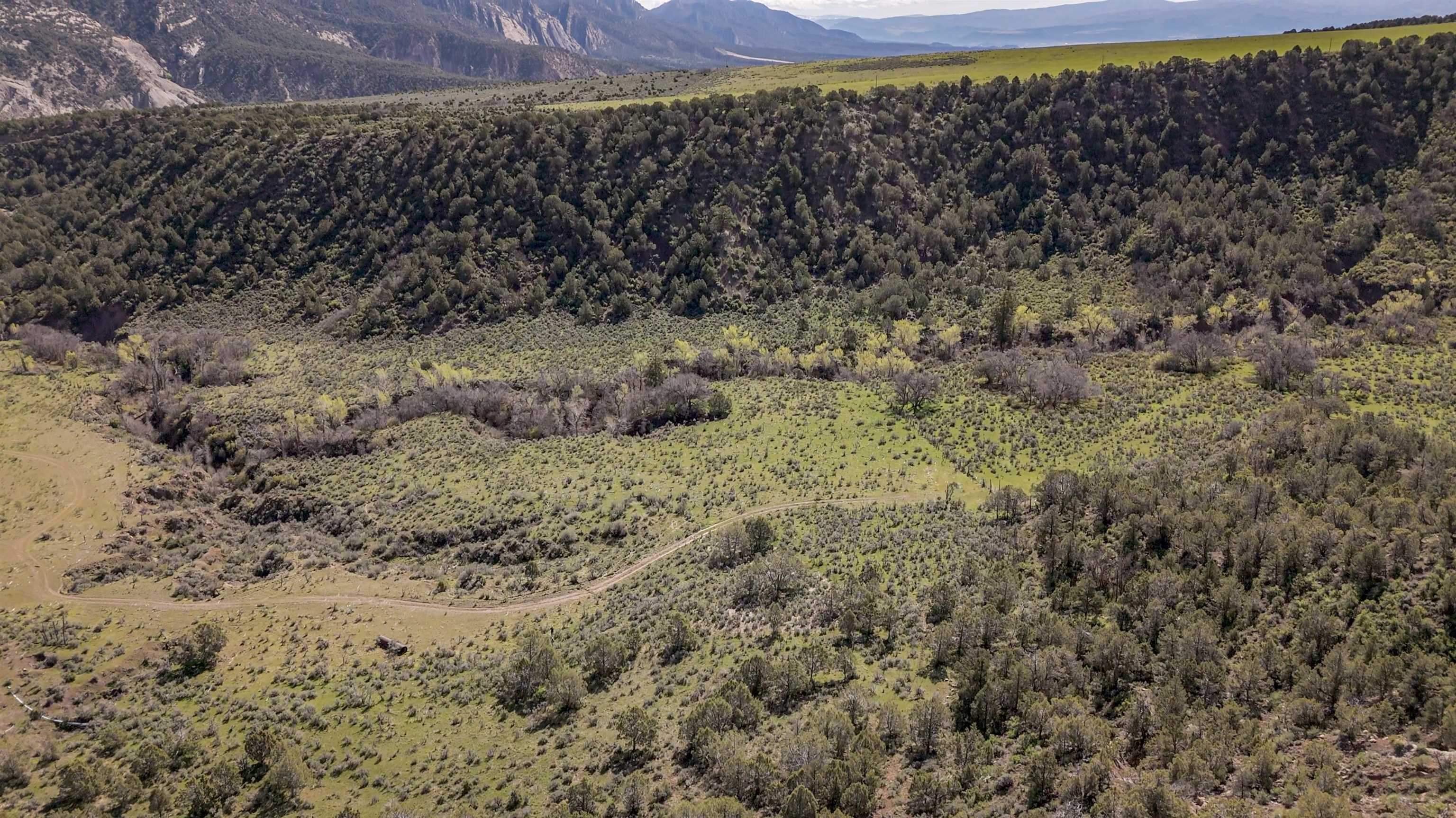 11799 Highway 13