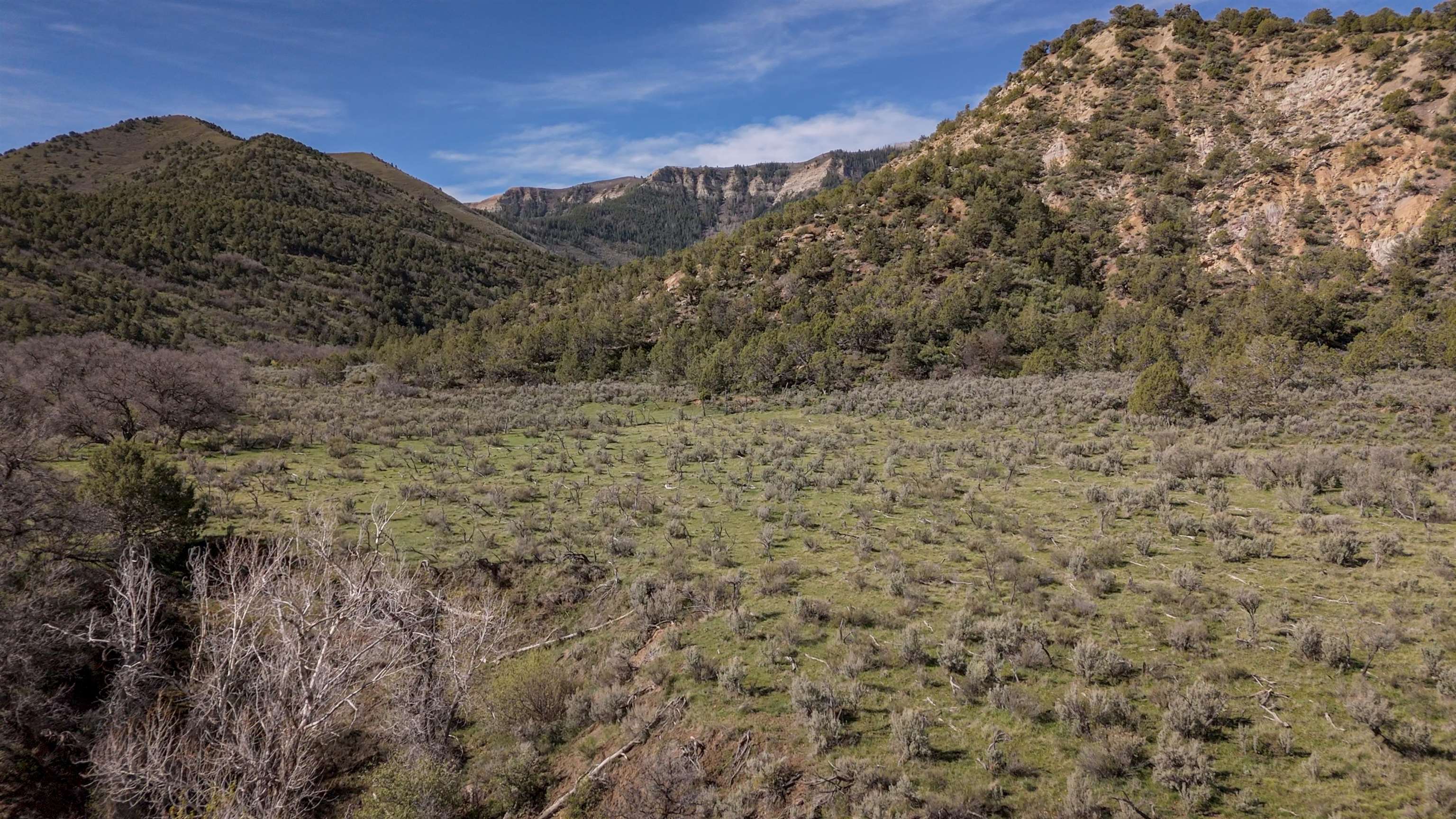 11799 Highway 13