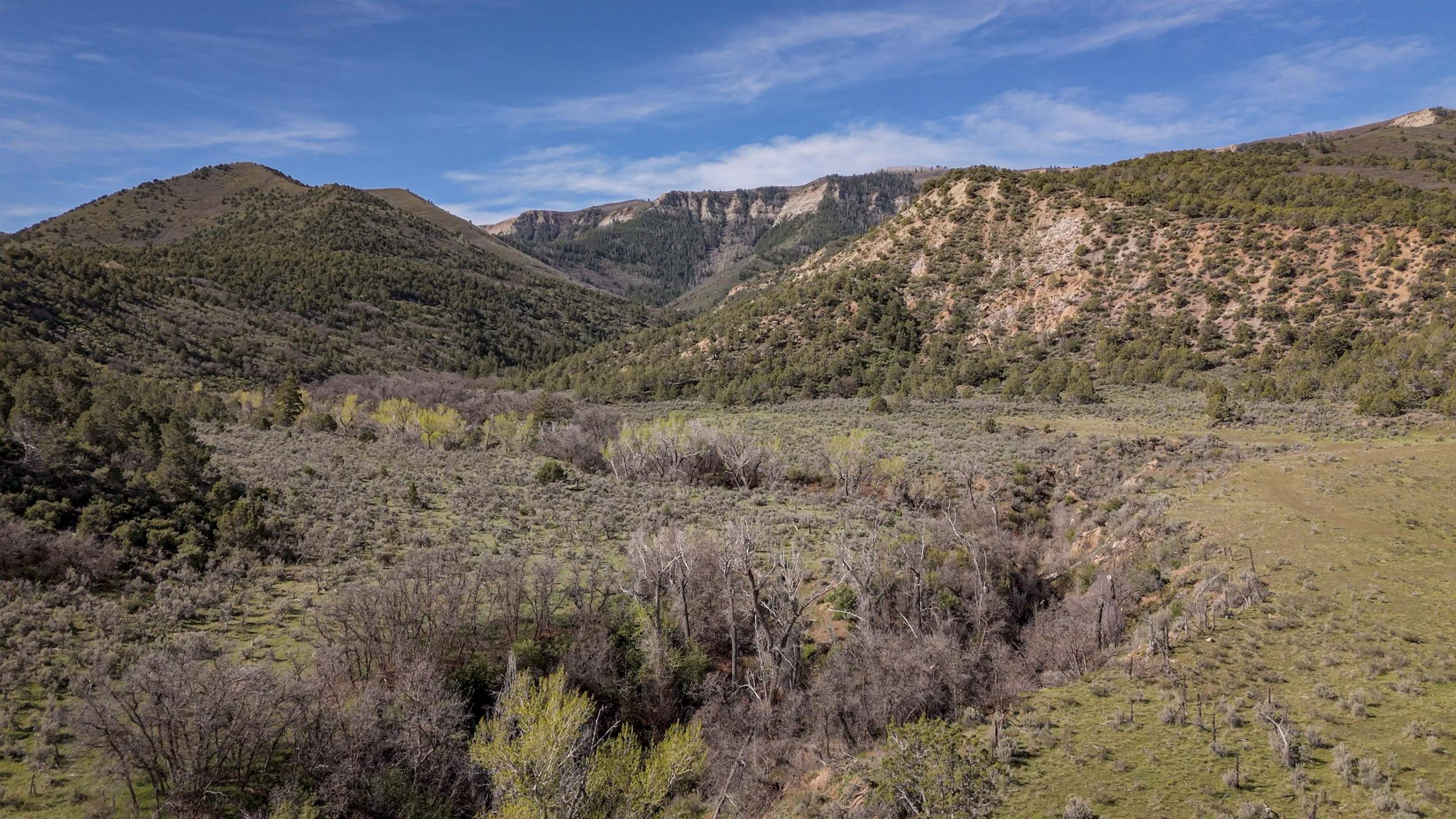 11799 Highway 13