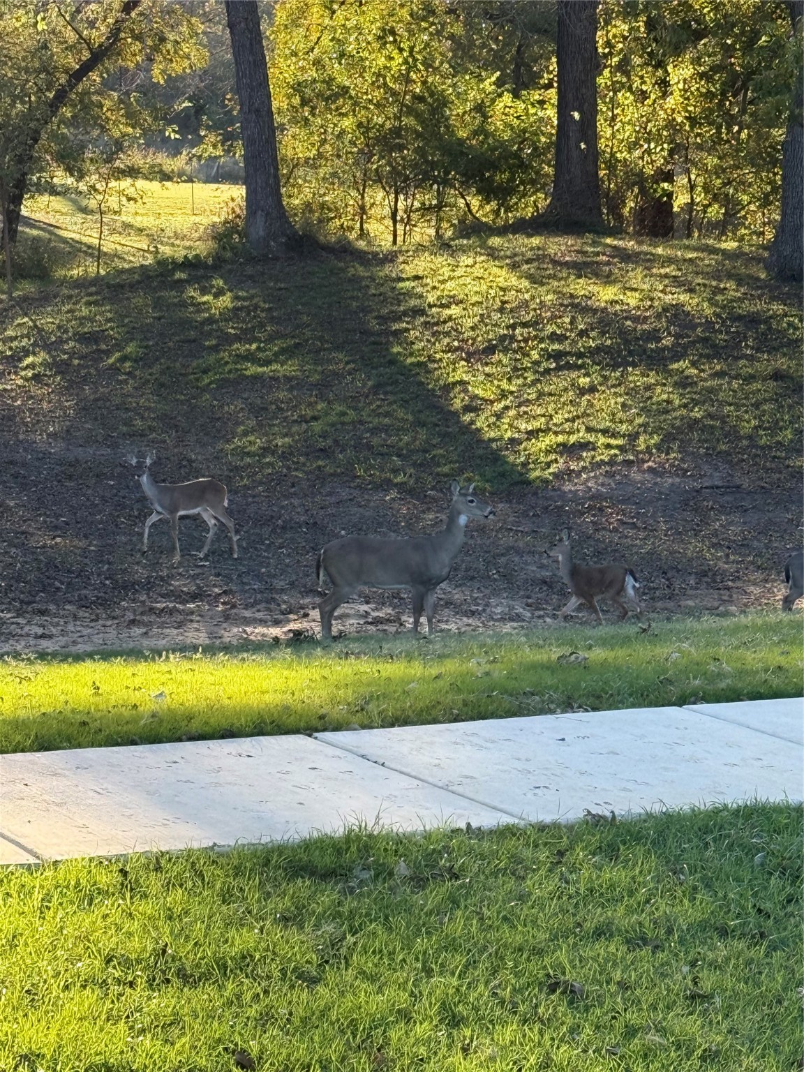 5816 Archery Court