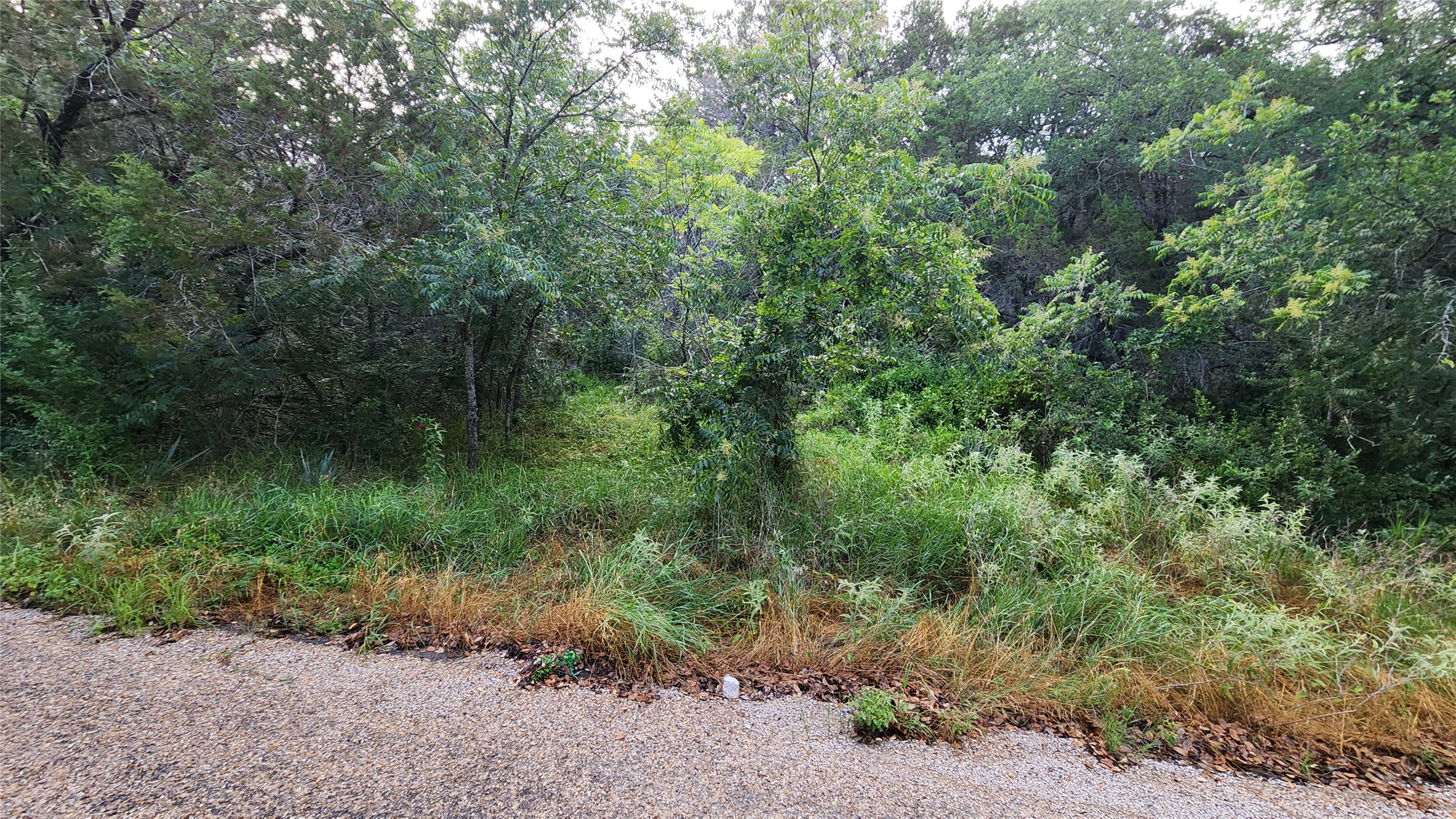 839 E Aquarius Court