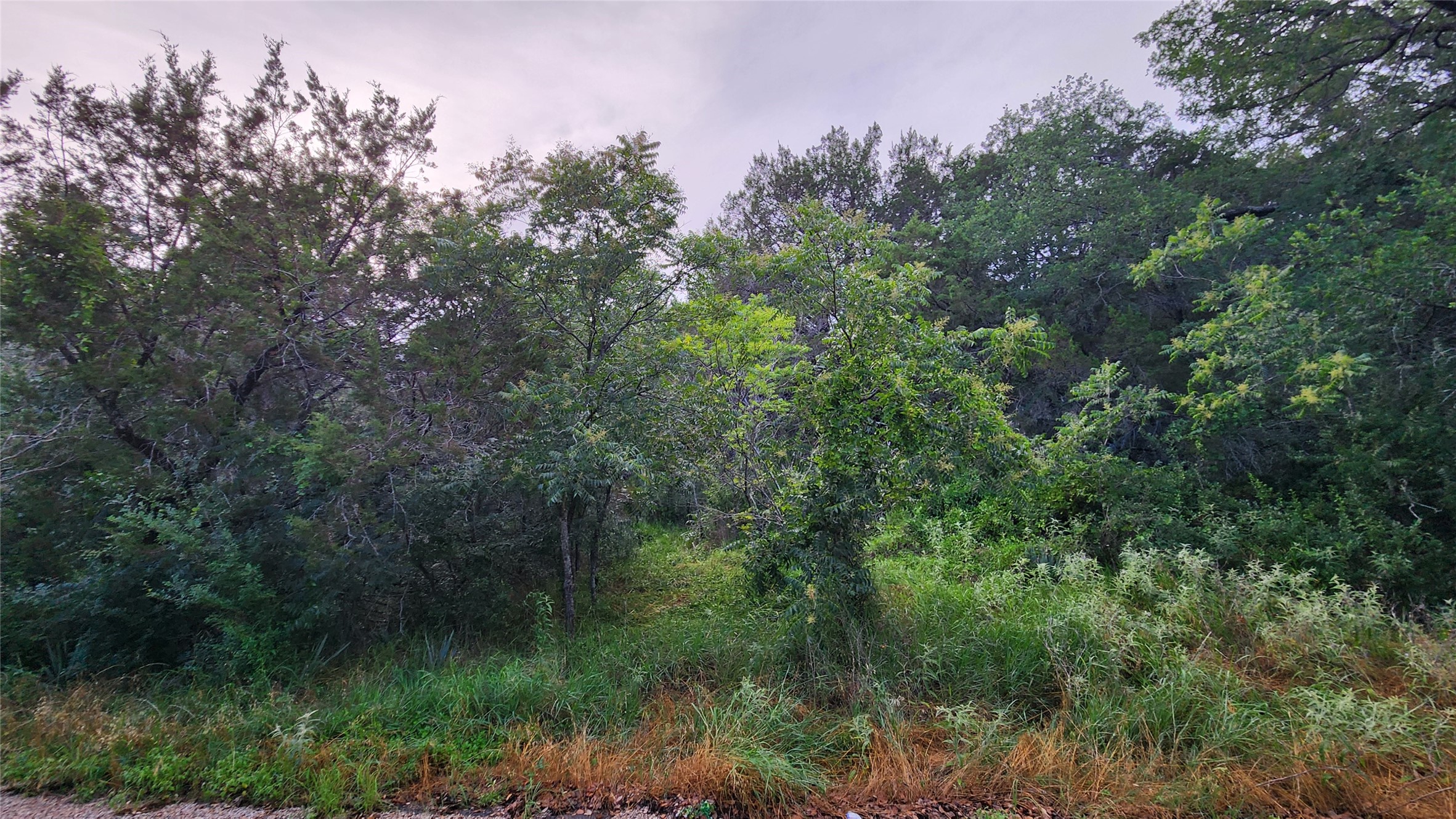 839 E Aquarius Court