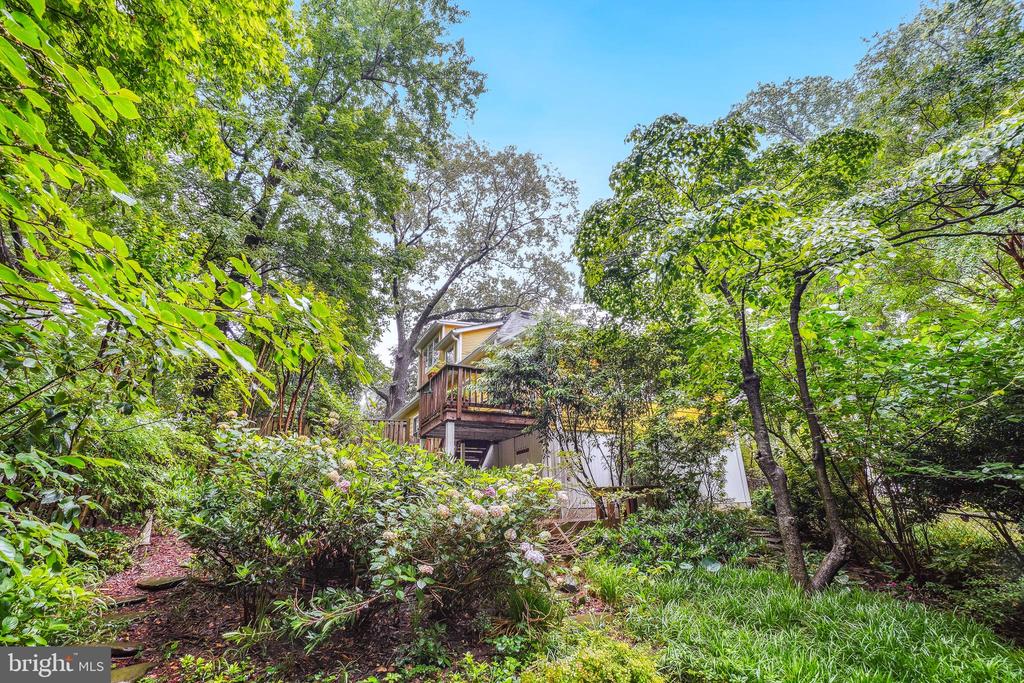 15 Jefferson Ave