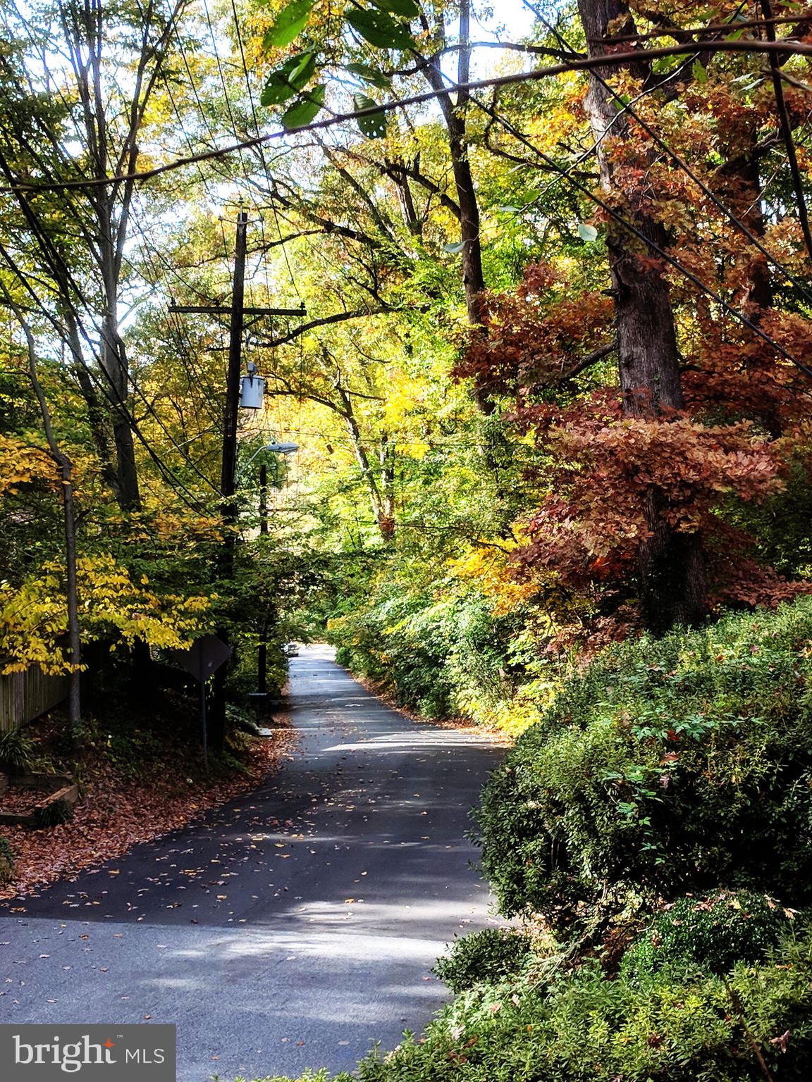 2907 FORSYTHE AVENUE