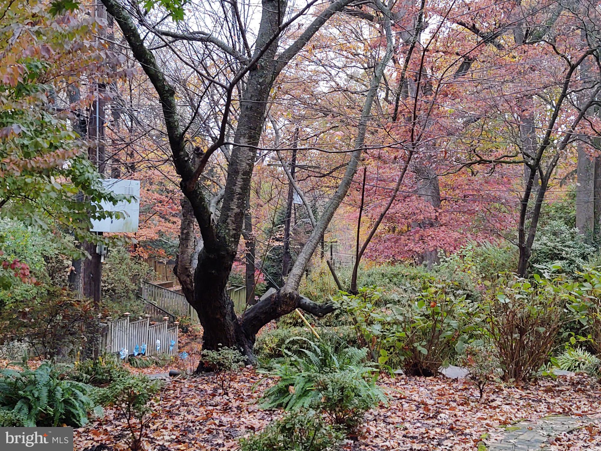 2907 FORSYTHE AVENUE