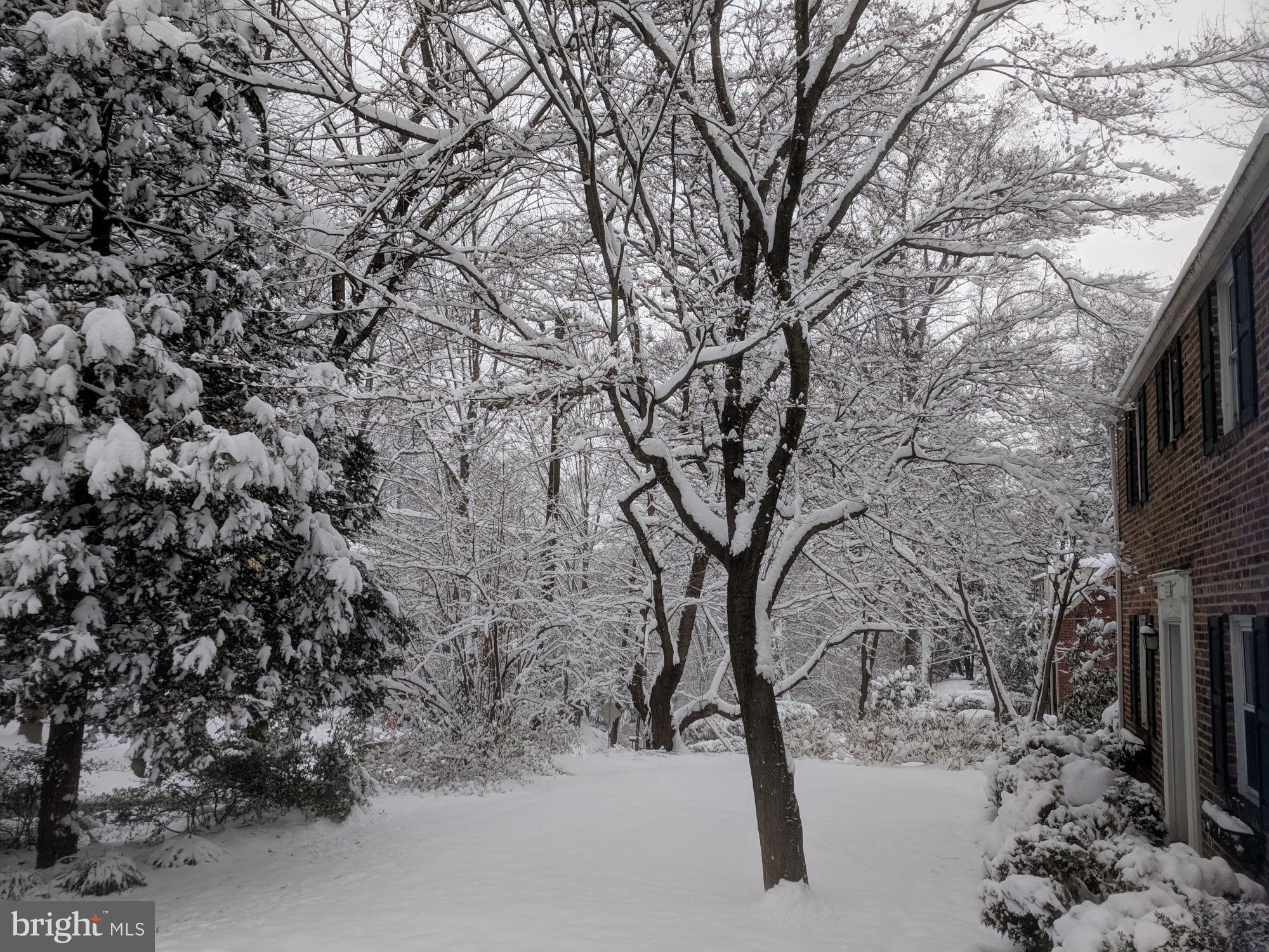 2907 FORSYTHE AVENUE