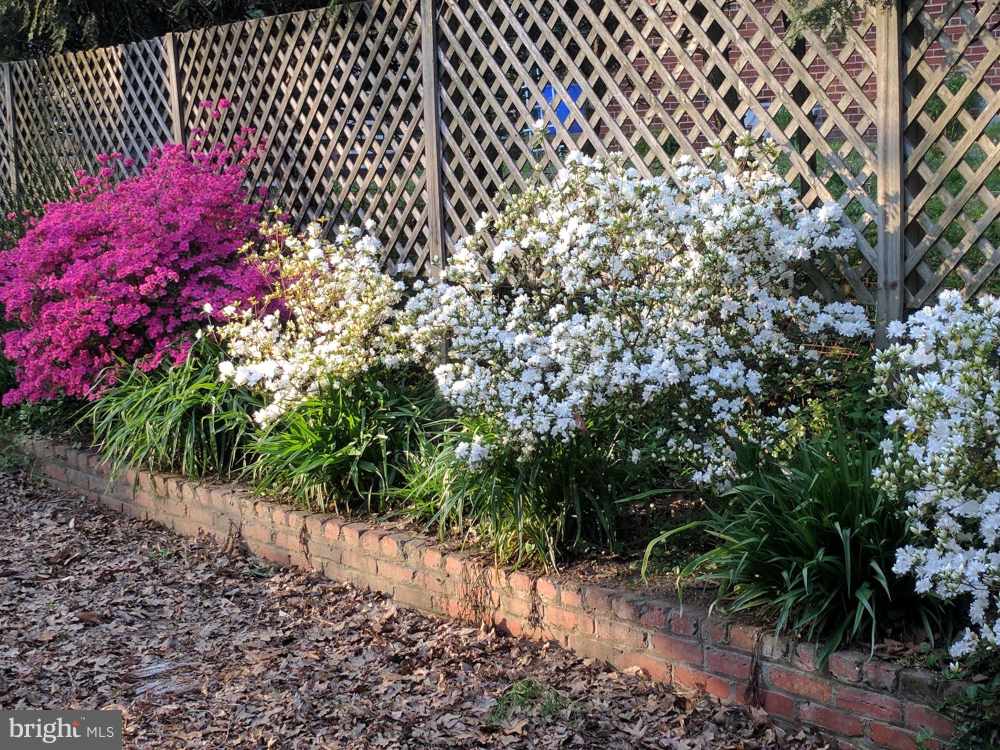 2907 FORSYTHE AVENUE