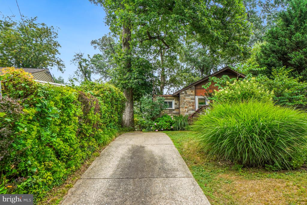 1217 EDMONSTON