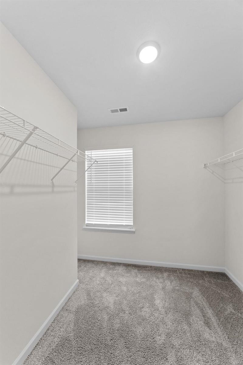 106 Dark Horse Court