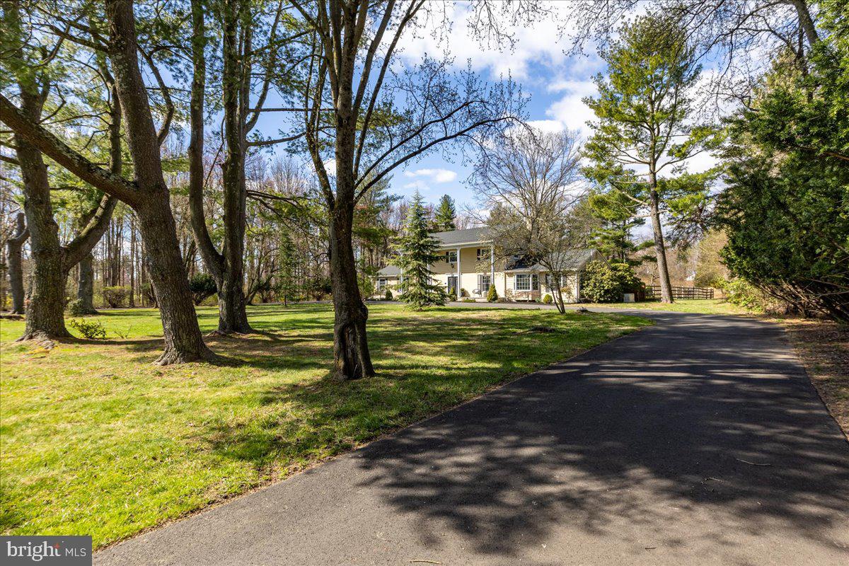 89 CARTER ROAD