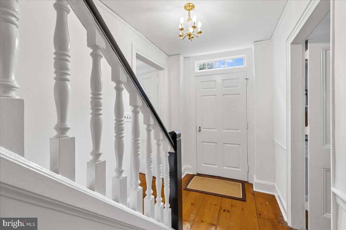 428 NASSAU STREET