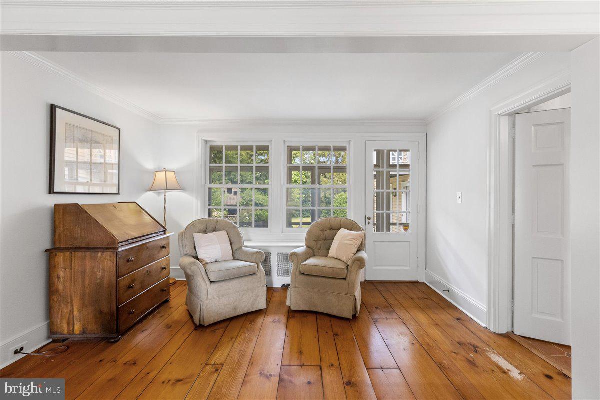 428 NASSAU STREET