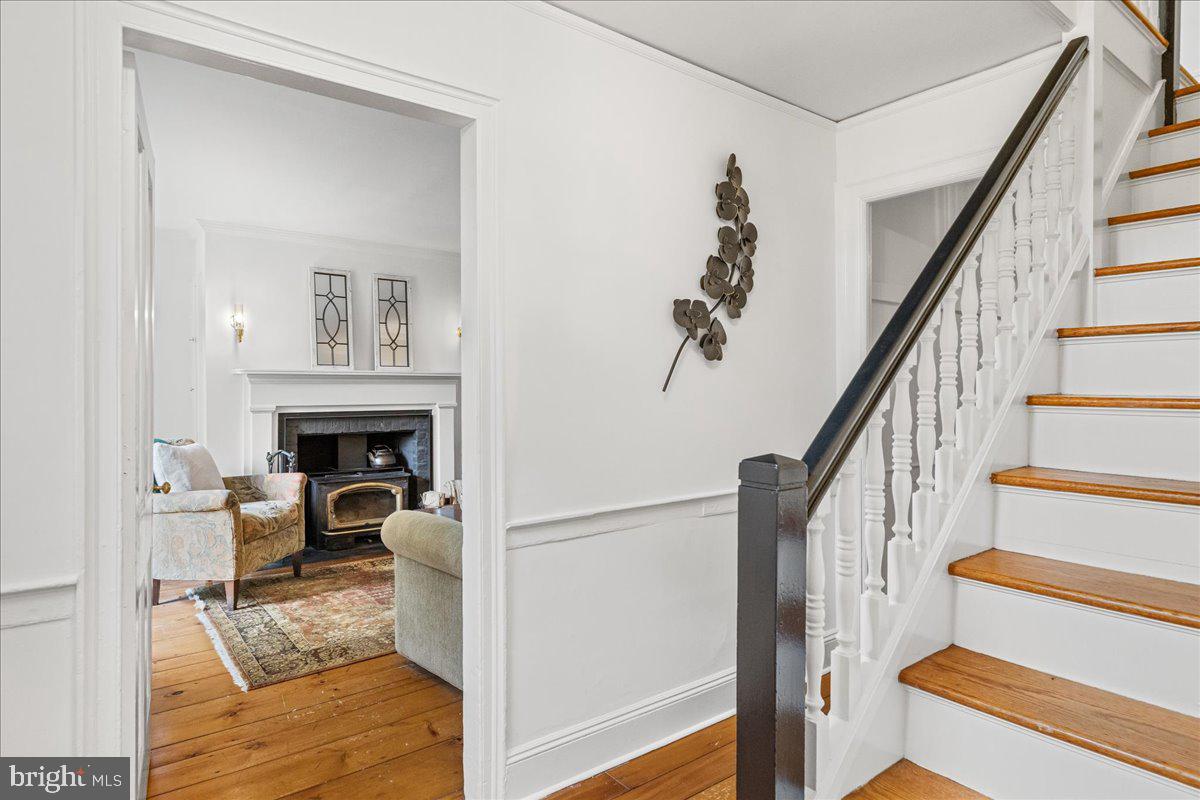 428 NASSAU STREET