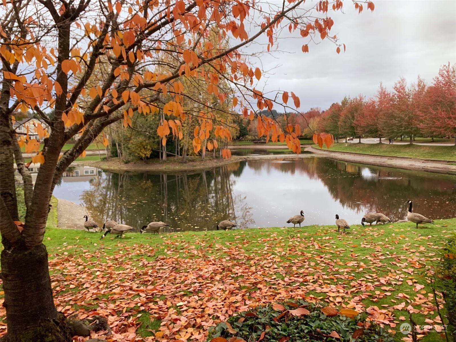 23311 59th Place S Unit: 18-6