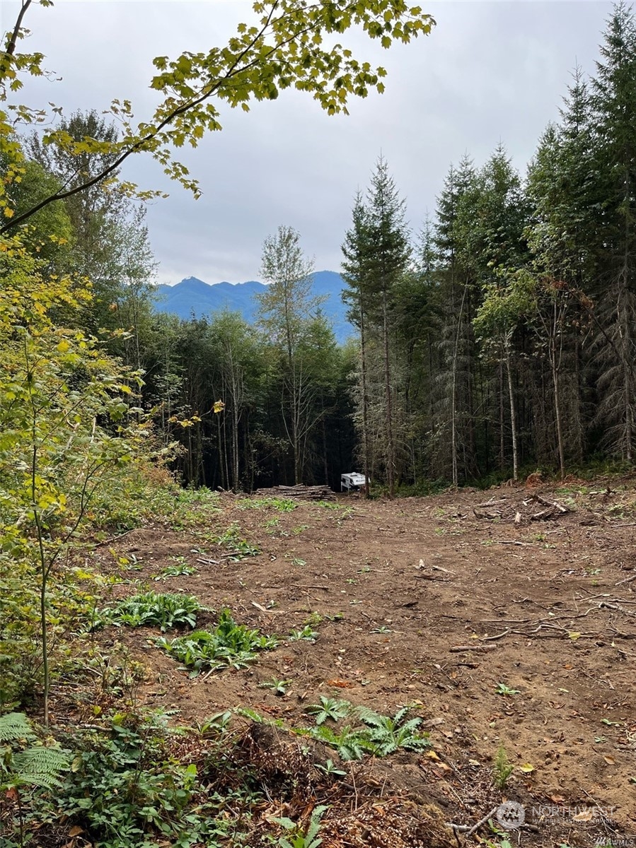 7071 Burpee Hill Road