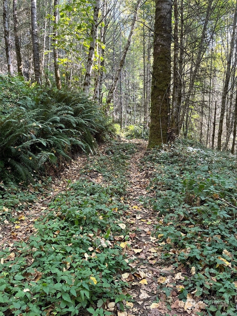 7071 Burpee Hill Road