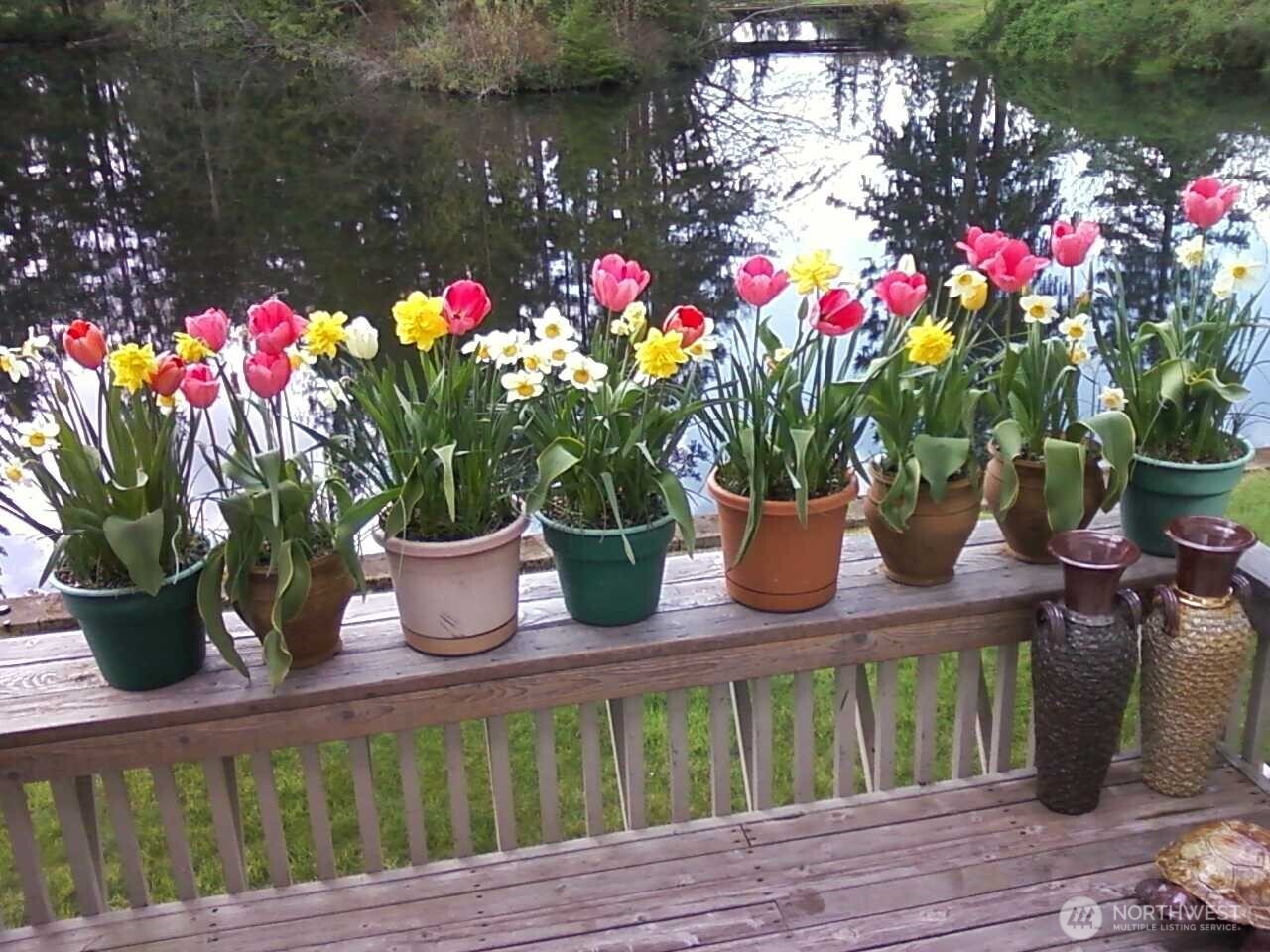 25525 224th Court SE