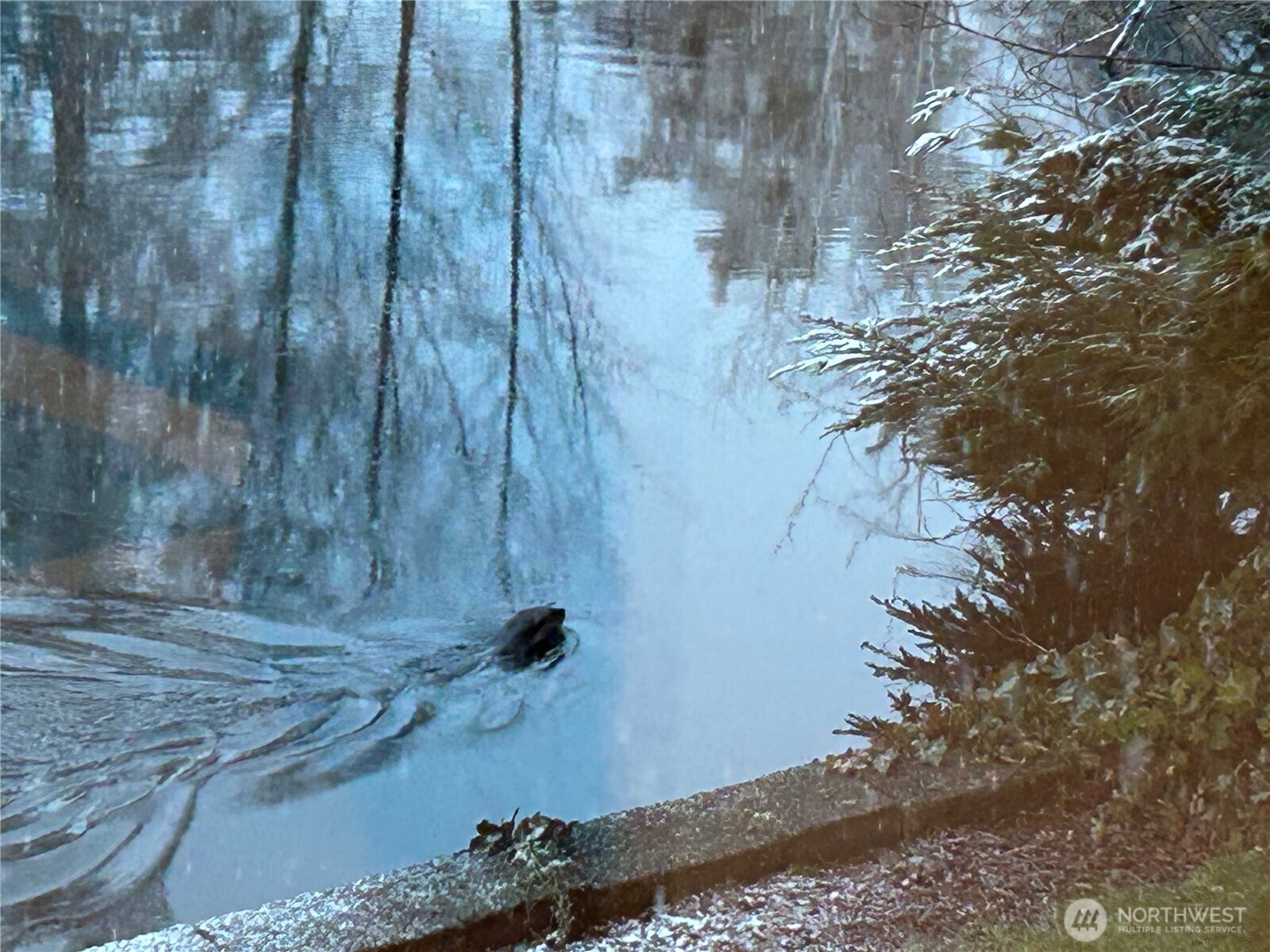 25525 224th Court SE