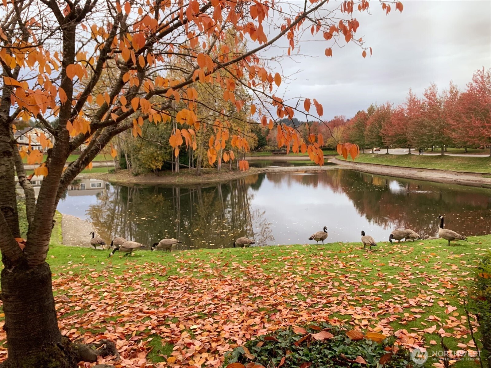 23311 59th Place S Unit: 18-6