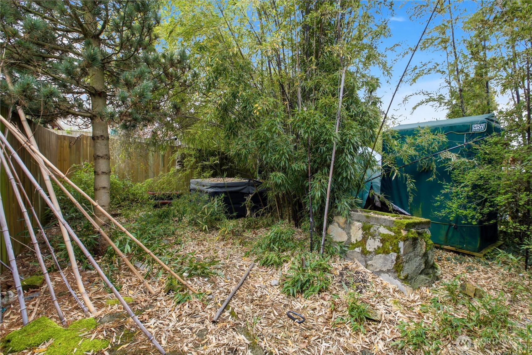 4319 SW Mills Street