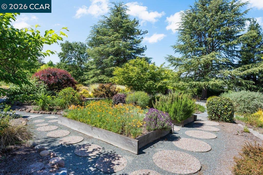 26 Rio Del Ct