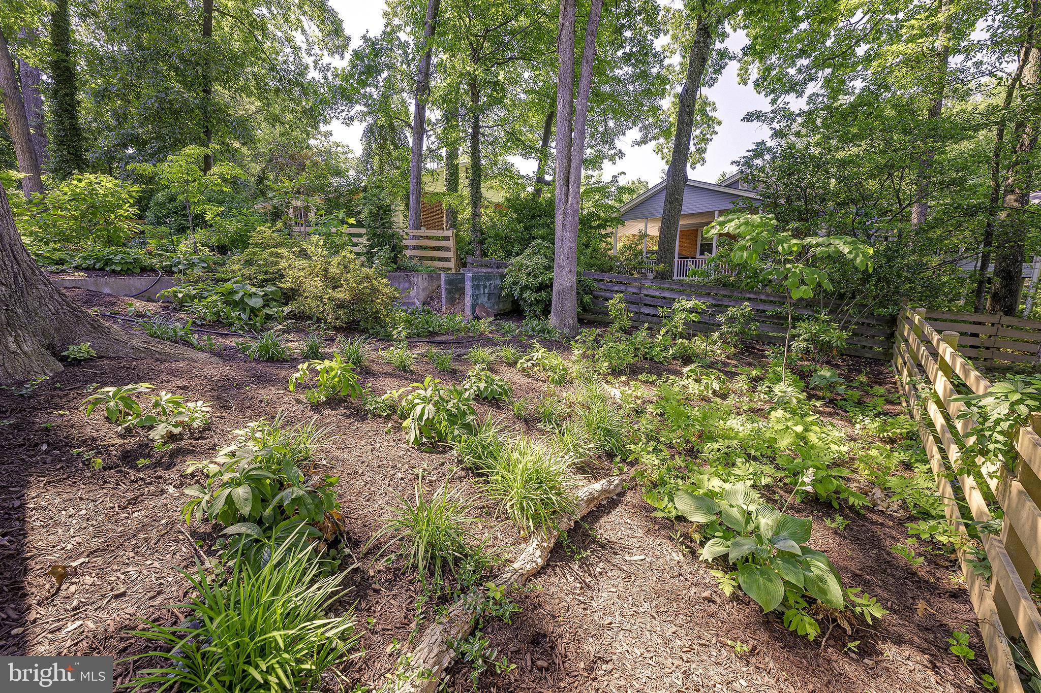 5 OLIVEWOOD COURT