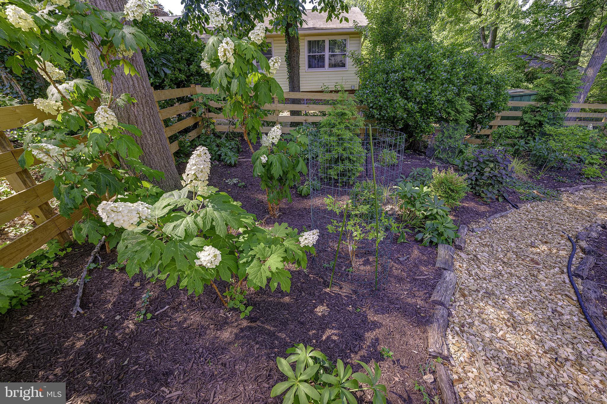 5 OLIVEWOOD COURT