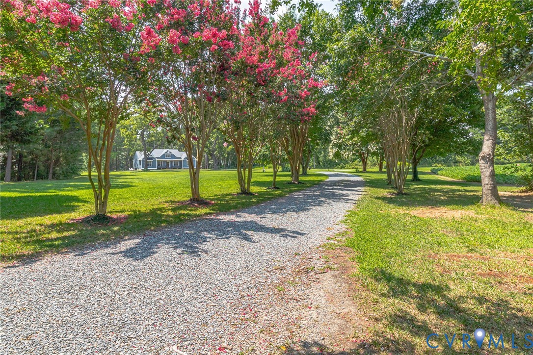 231 Canvasback Dr