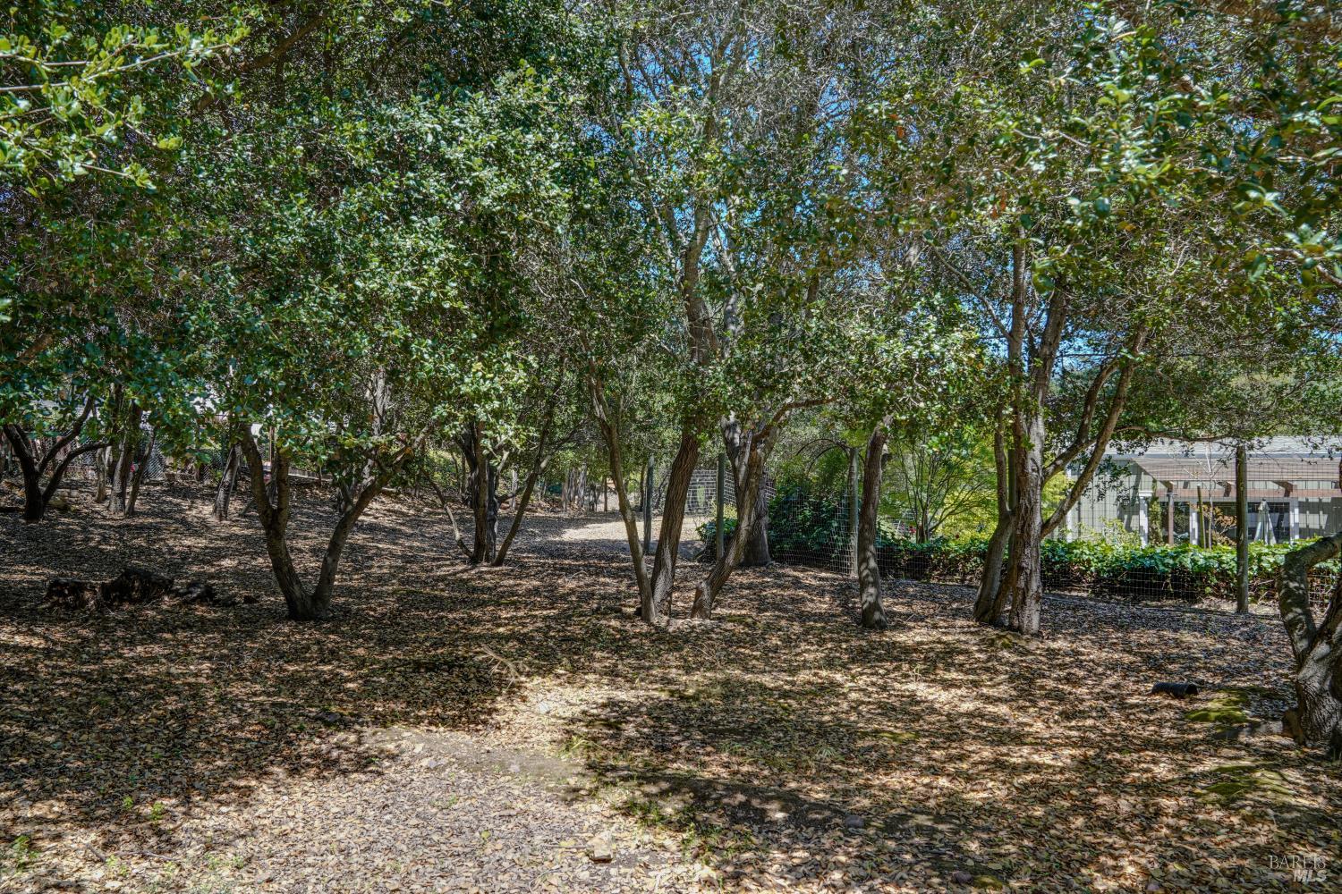 3 Oak Grove Way