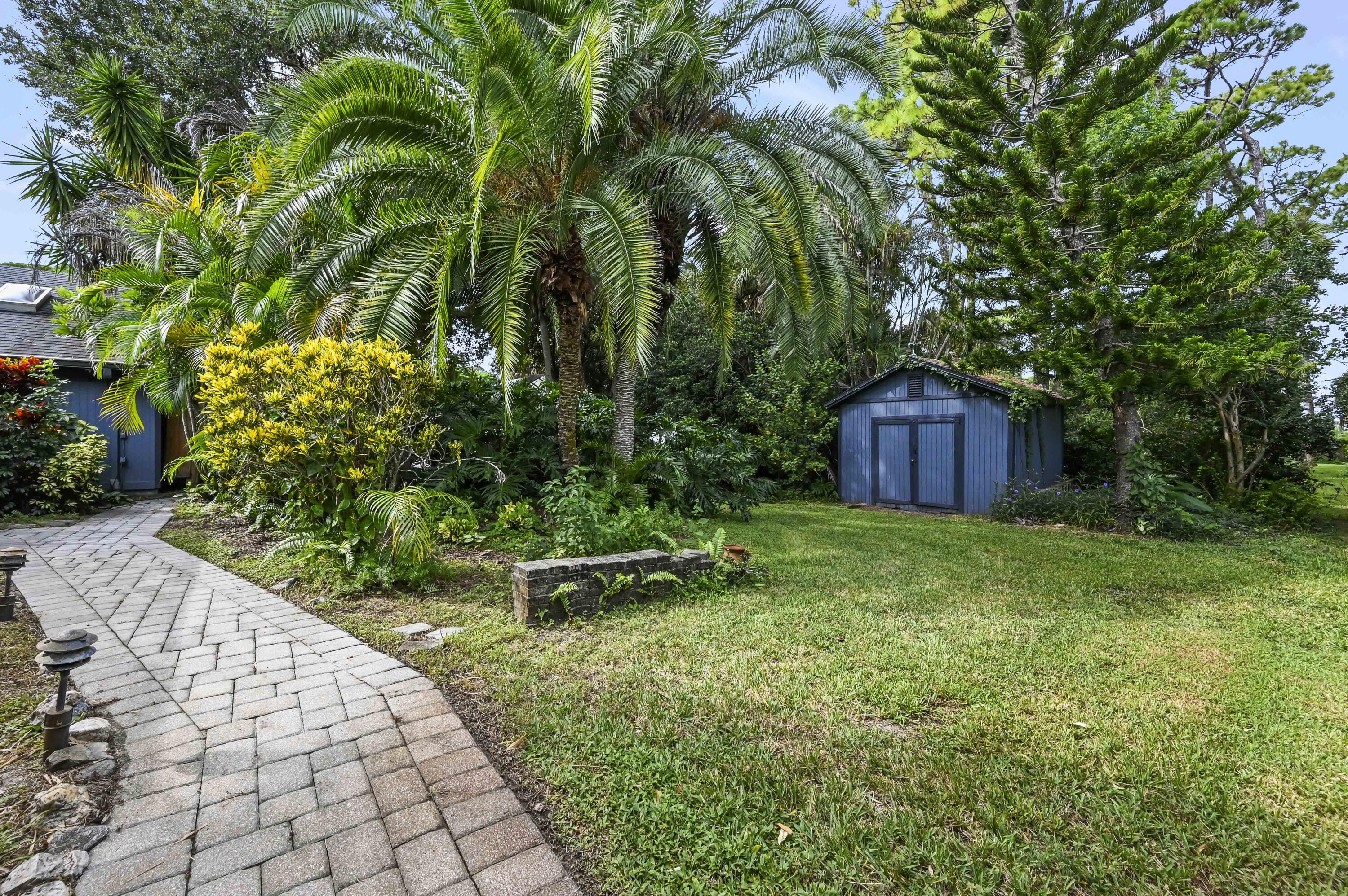 Landscaped backyard with a curved paver path, tropical palms, lawn, and blue garden shed.