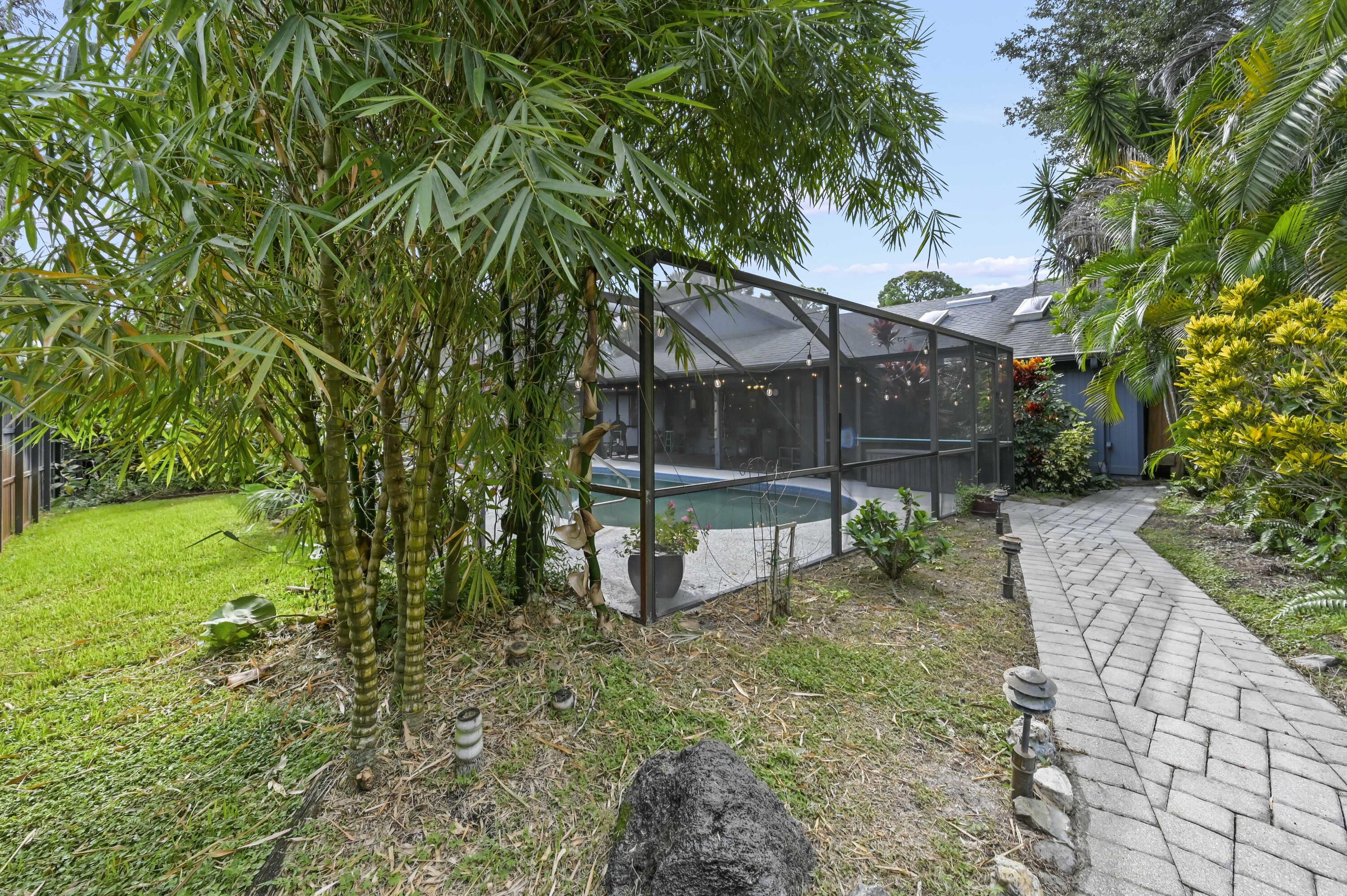 Screened backyard pool surrounded by tropical plants, with a paved walkway leading alongside the house.