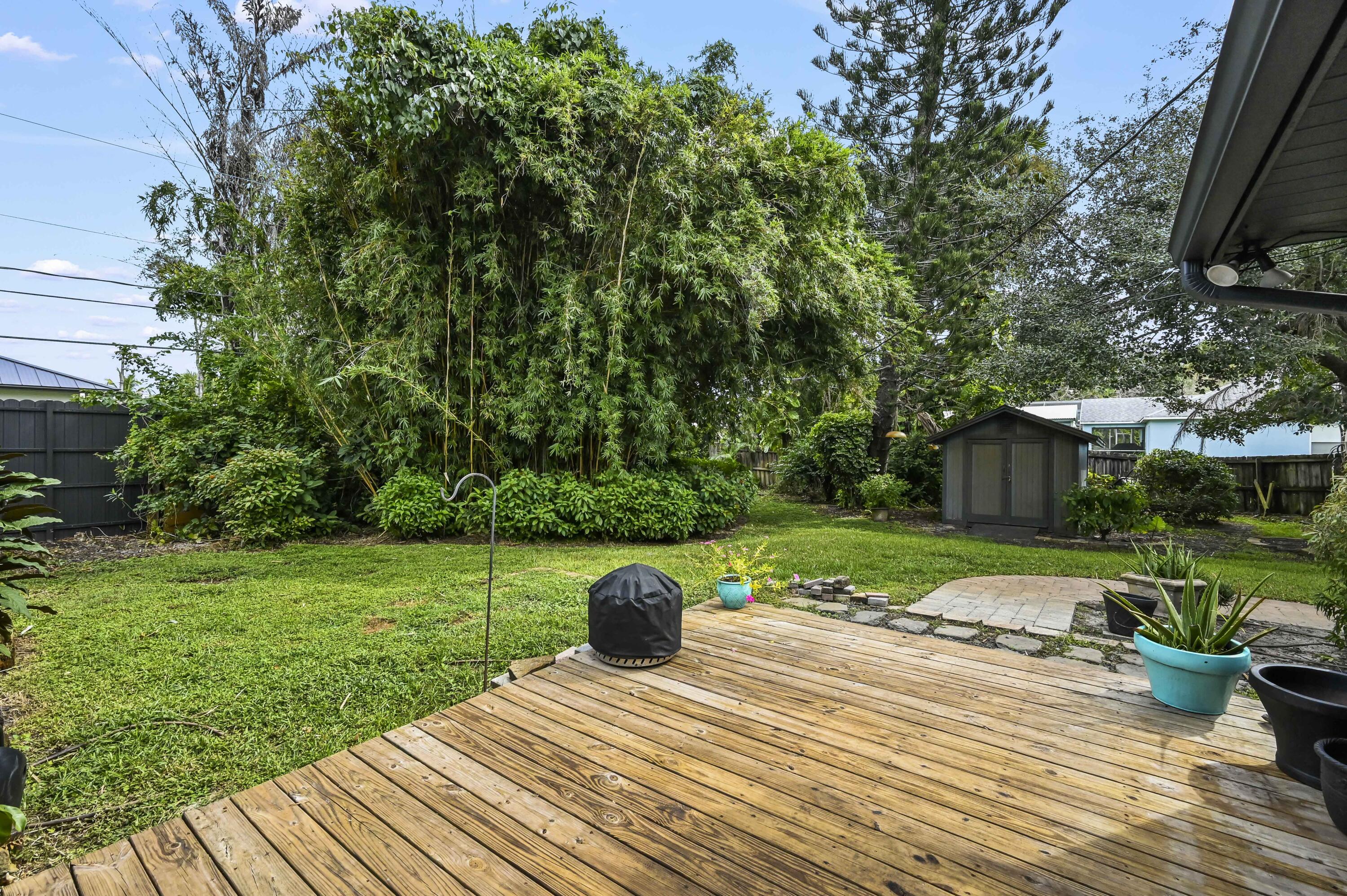 Backyard deck beside a grassy lawn, dense bamboo, potted plants, and a small storage shed.