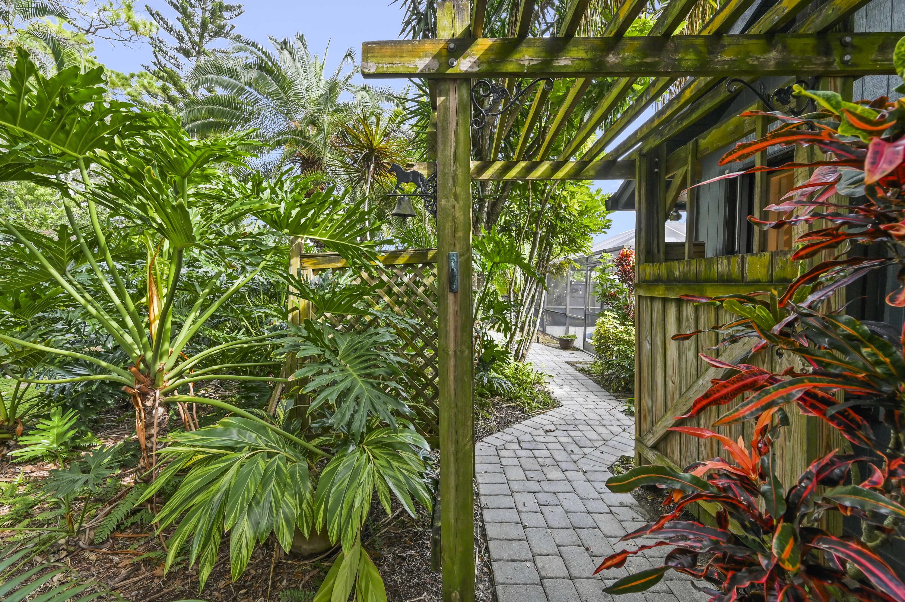 Tropical garden path beneath a wooden pergola, bordered by dense green foliage and red-leaved plants.