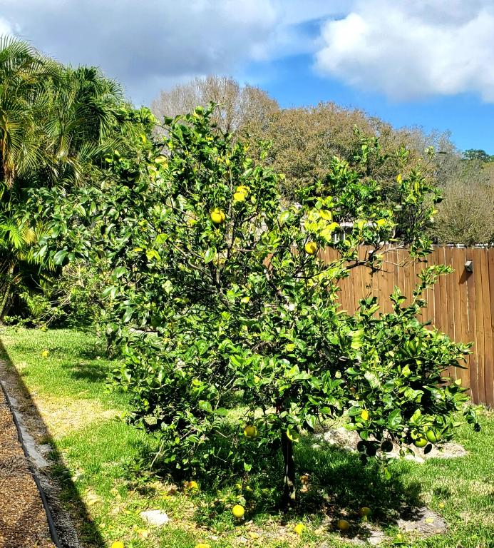 3093 SW Seaboard Avenue