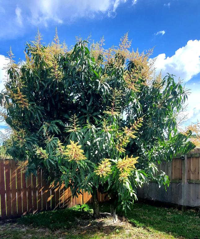 3093 SW Seaboard Avenue