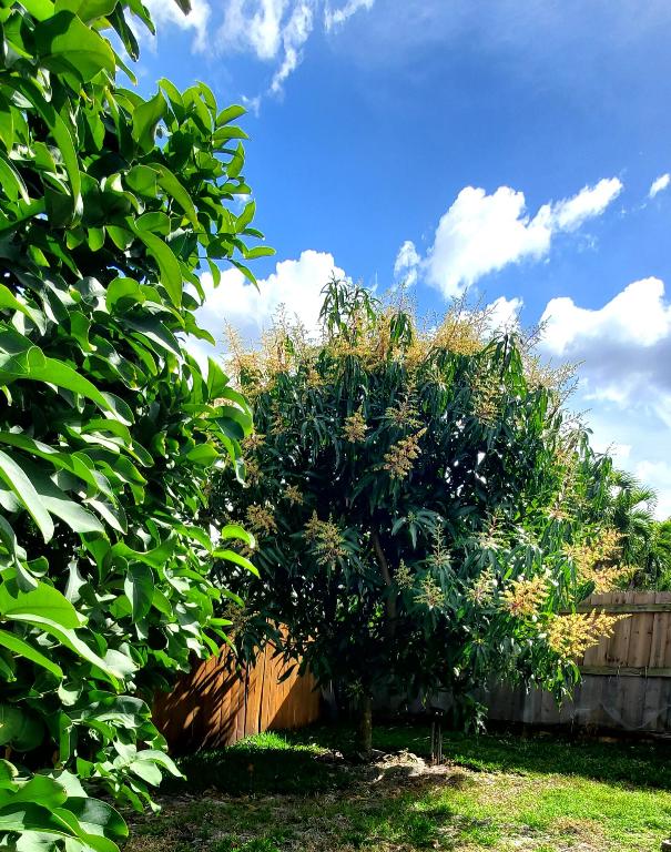 3093 SW Seaboard Avenue