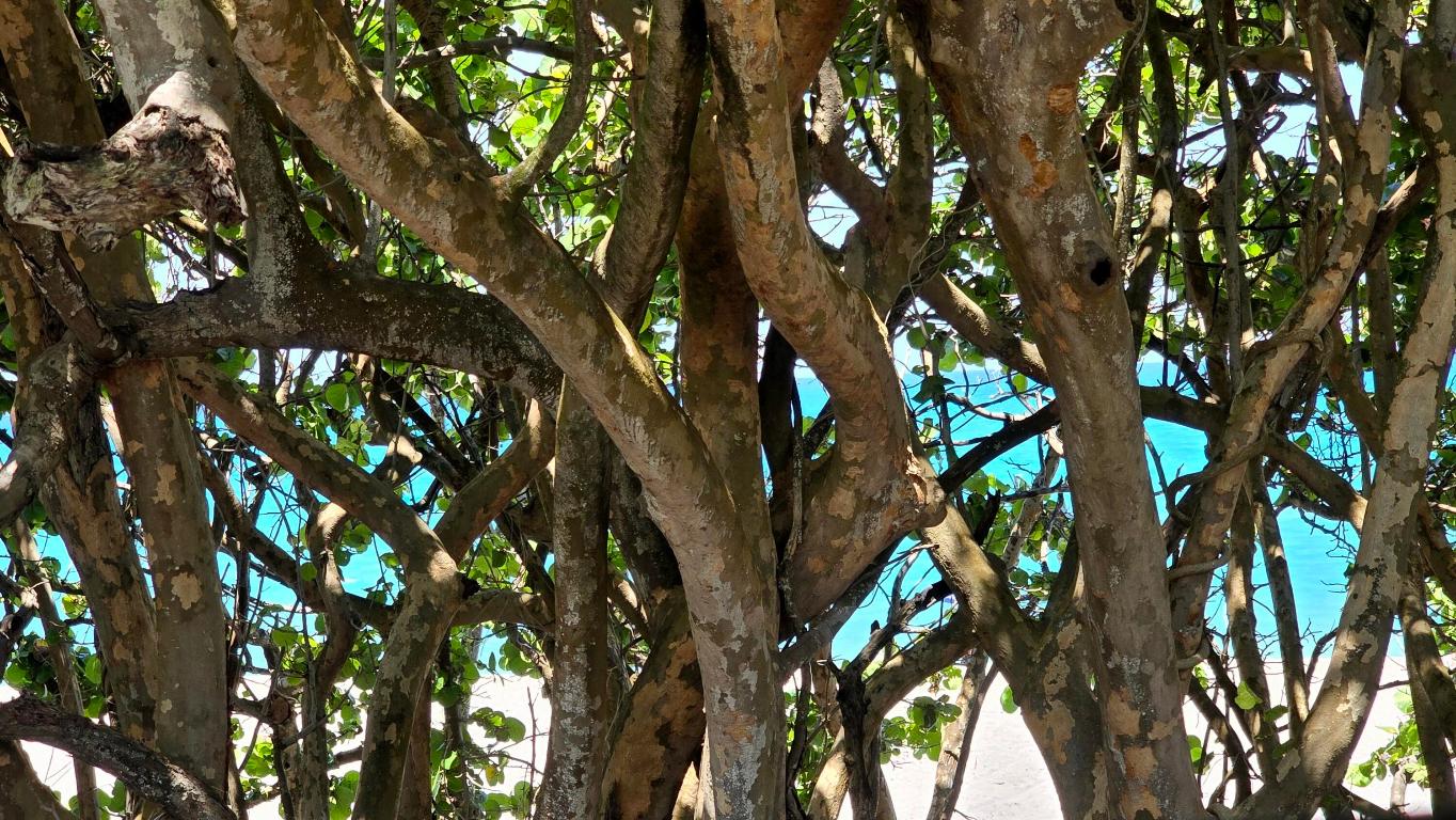 105 W Bonefish Circle