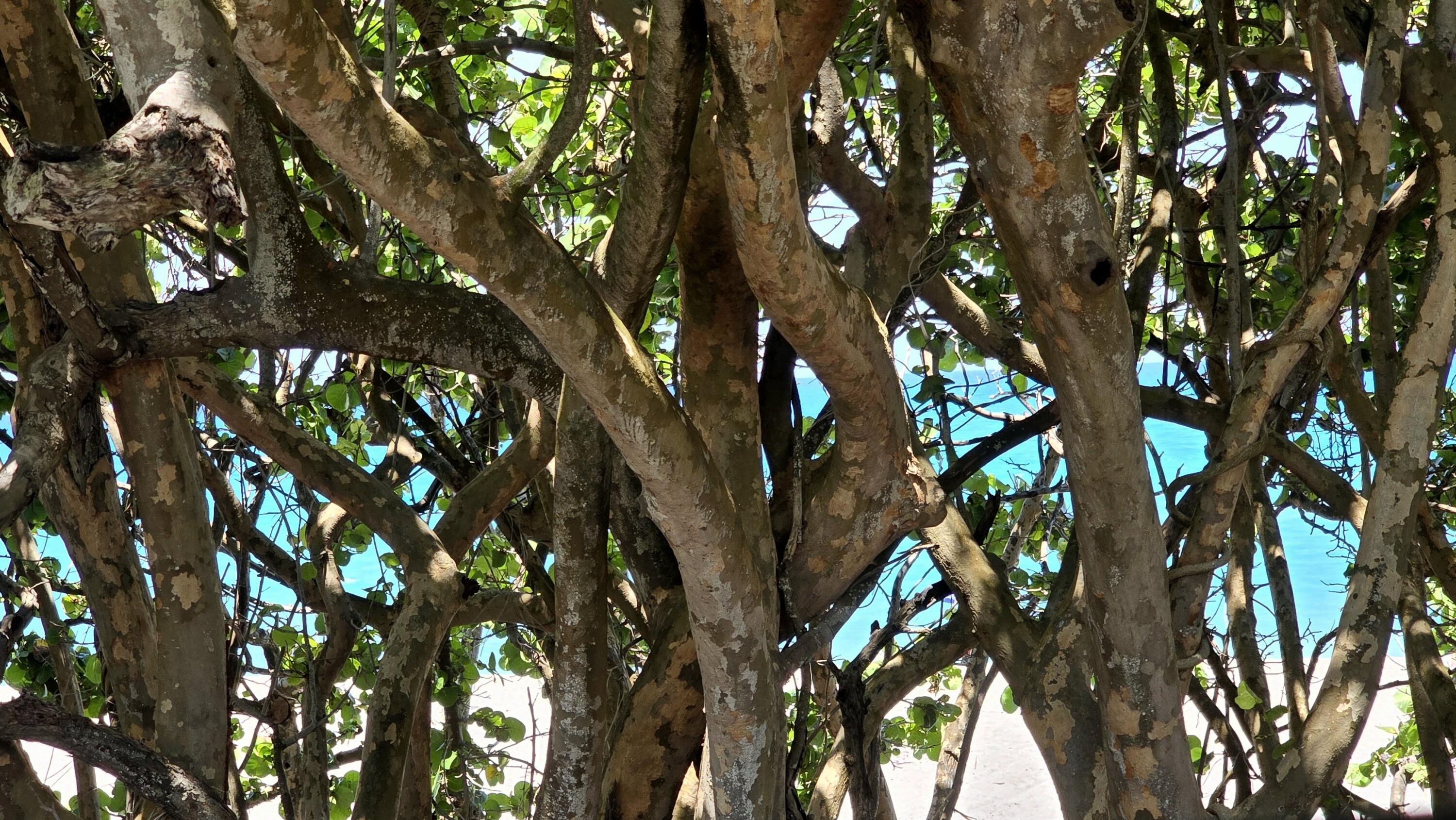 105 W Bonefish Circle